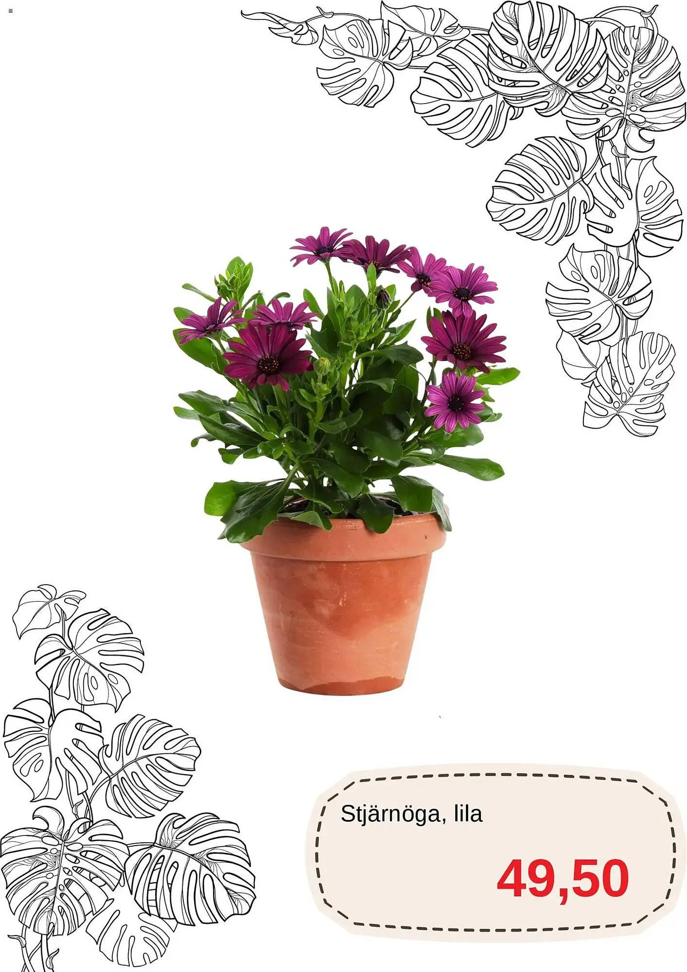 Blomsterlandet reklamblad från 20 april till 31 maj 2026 - Reklamblad sidor 7