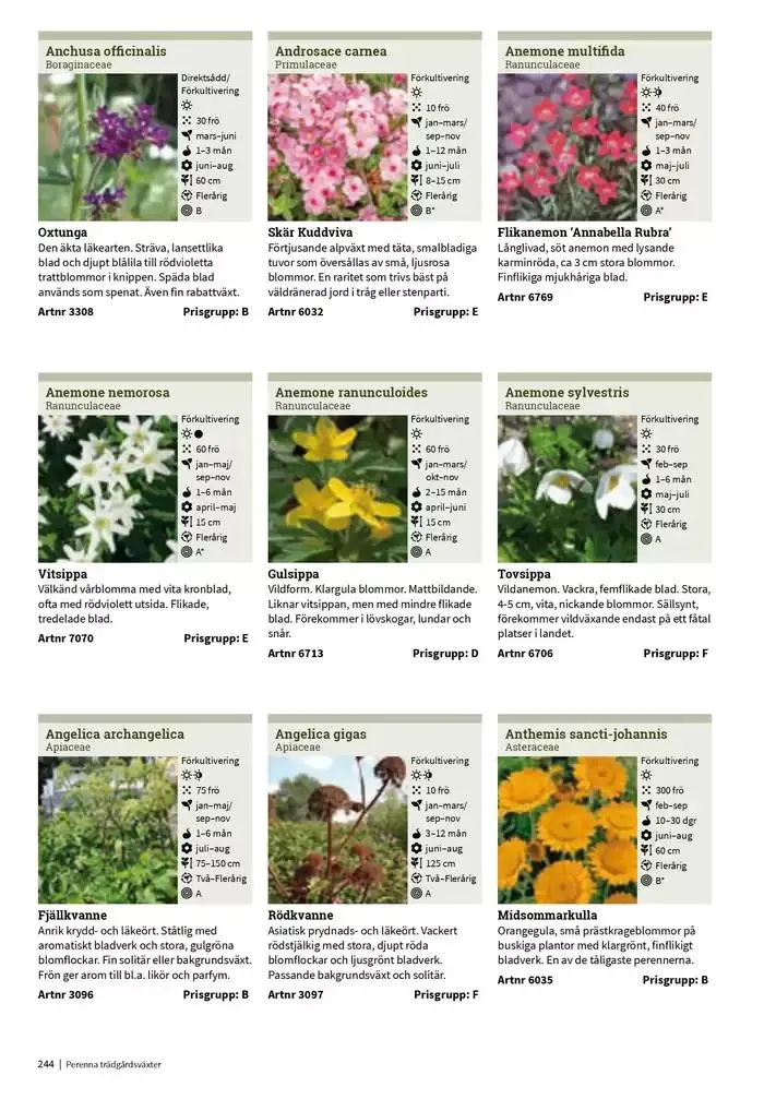 Frökatalog 2025! från 23 januari till 31 december 2025 - Reklamblad sidor 244