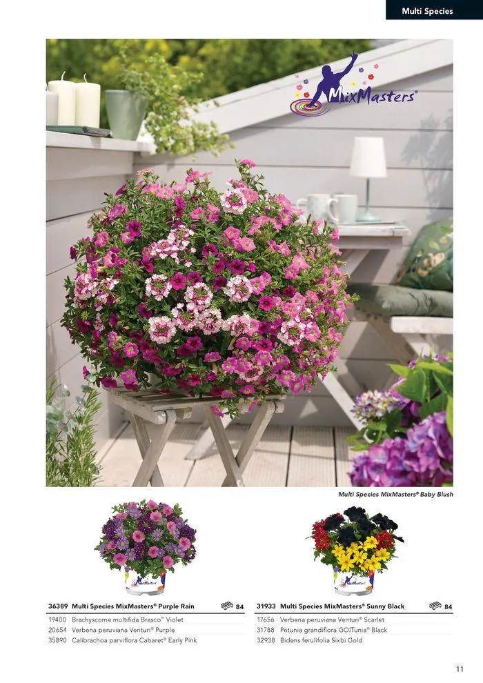 Annuals 2024 . från 15 februari till 31 december 2024 - Reklamblad sidor 15