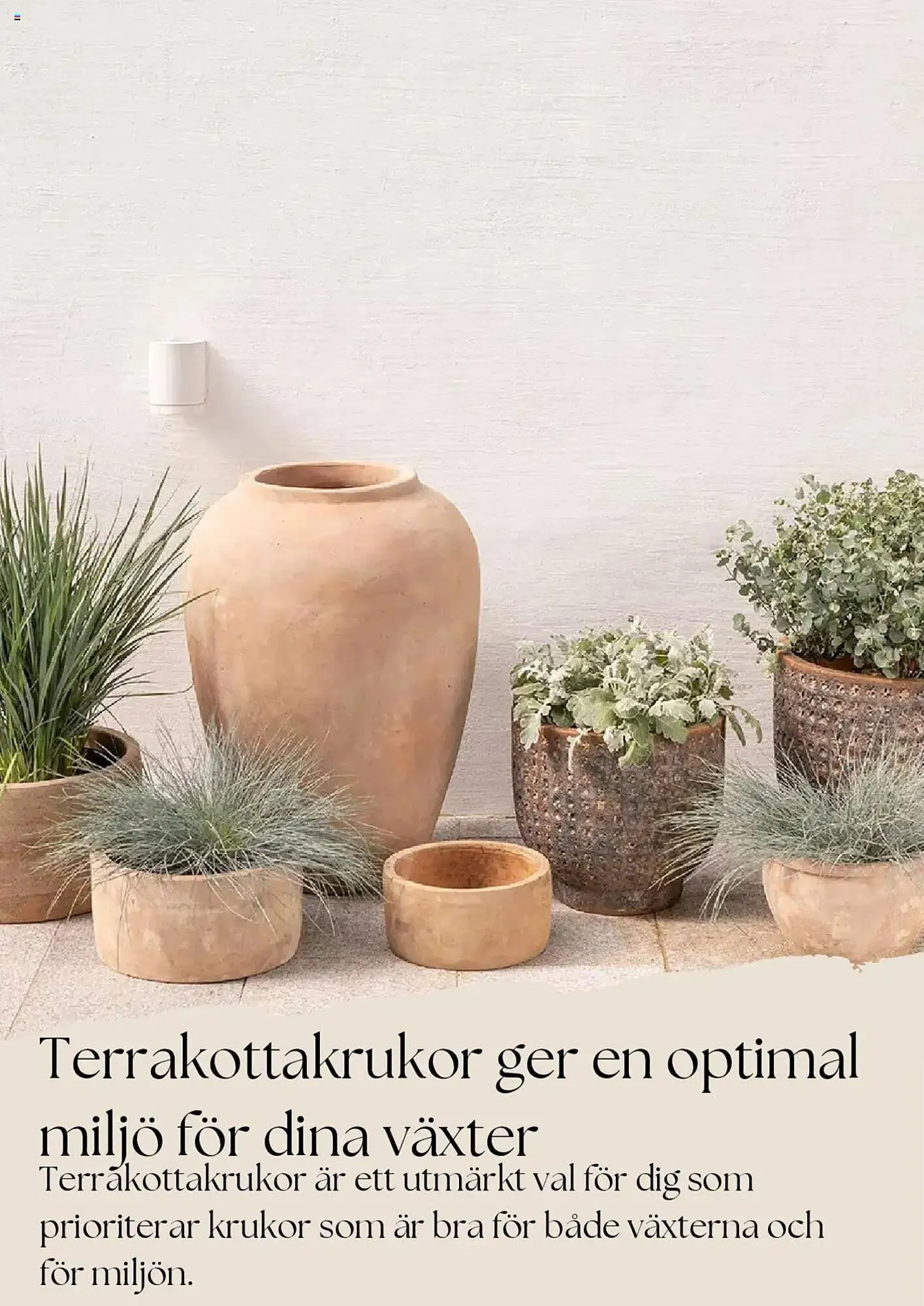 Plantagen reklamblad från 1 mars till 31 mars 2025 - Reklamblad sidor 7