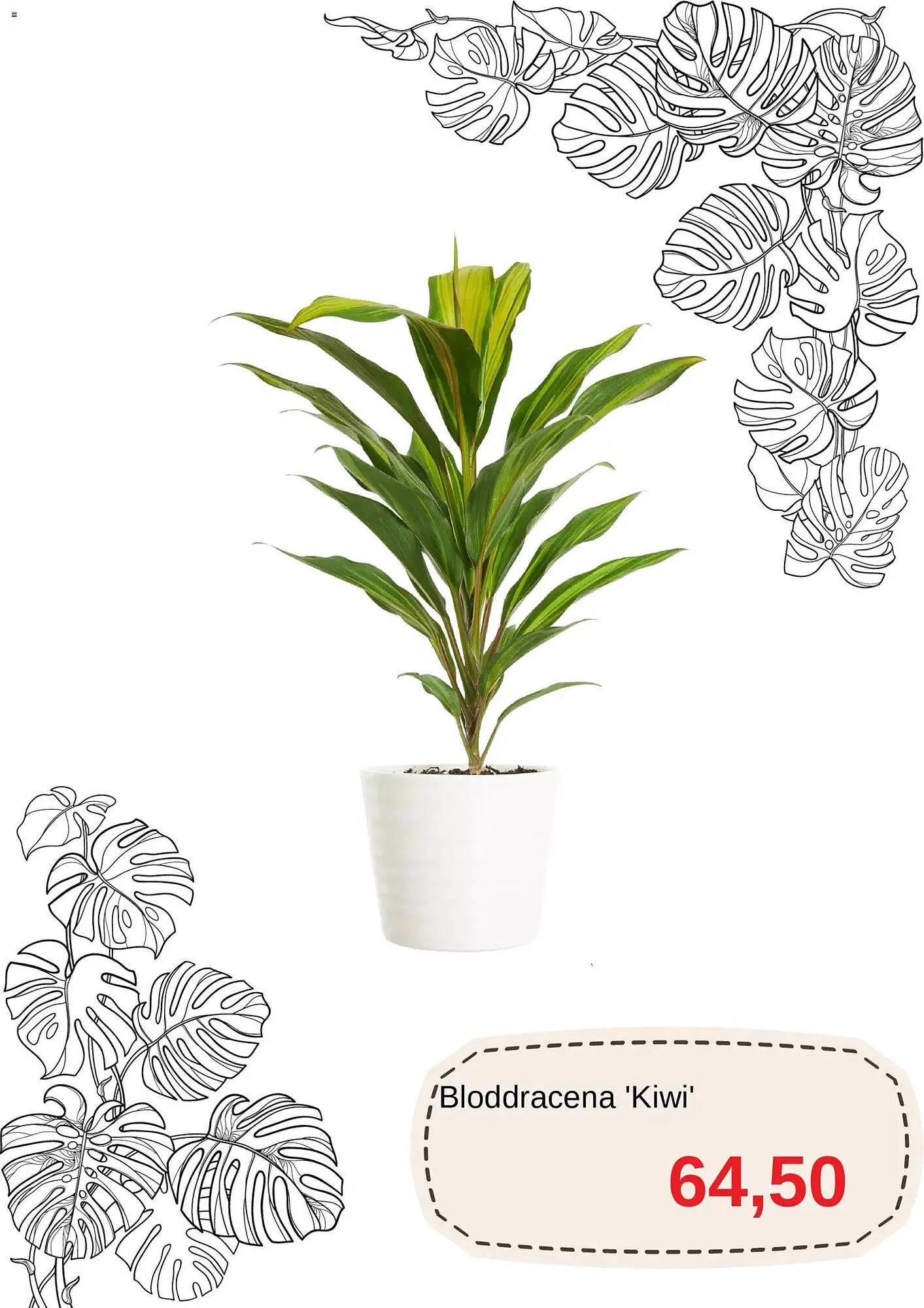 Blomsterlandet reklamblad från 11 mars till 10 april 2026 - Reklamblad sidor 6