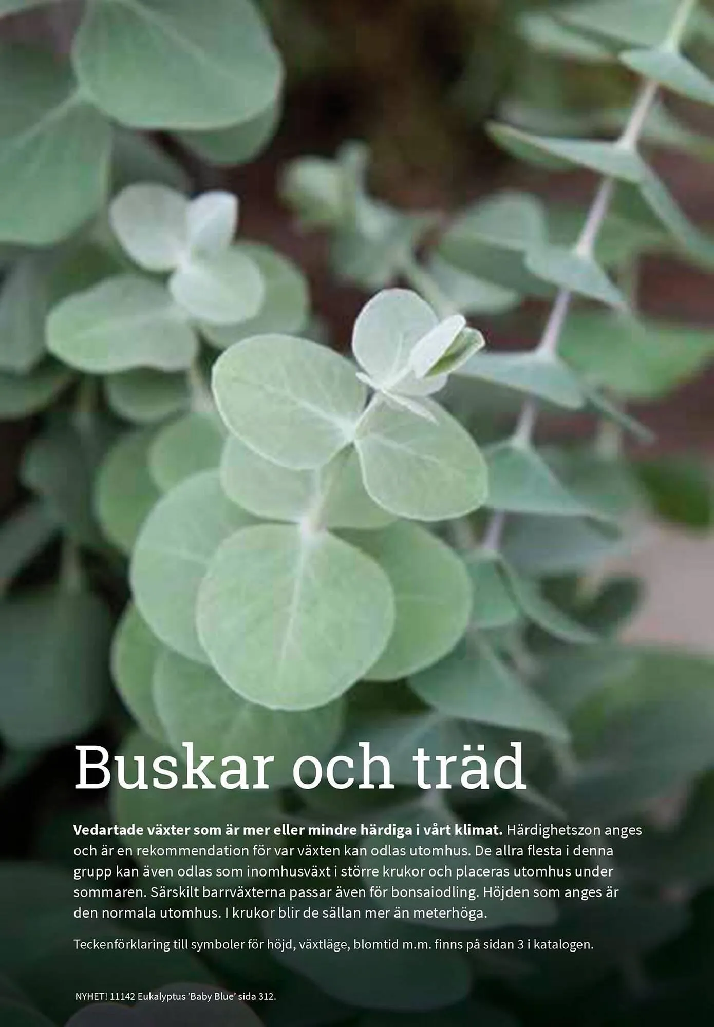 Granngården kampanjblad från 11 september till 31 december 2025 - Reklamblad sidor 311