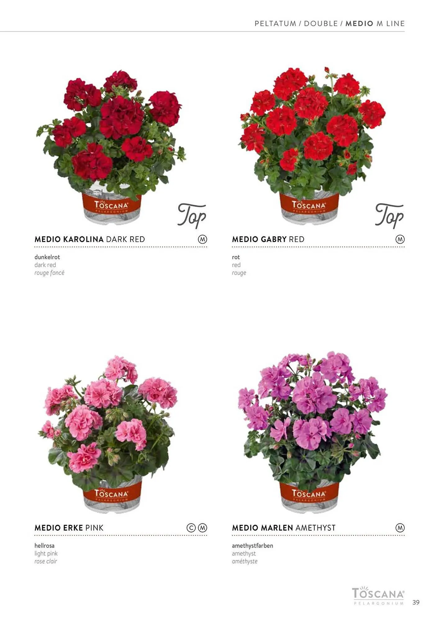Harald Nyborg reklamblad från 15 februari till 31 december 2024 - Reklamblad sidor 39