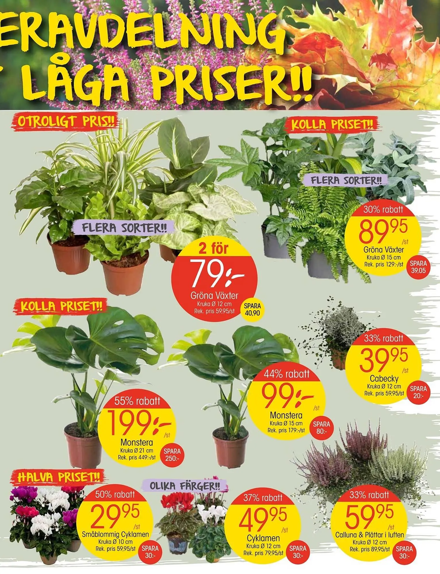 EKO reklamblad från 25 september till 1 oktober 2023 - Reklamblad sidor 3