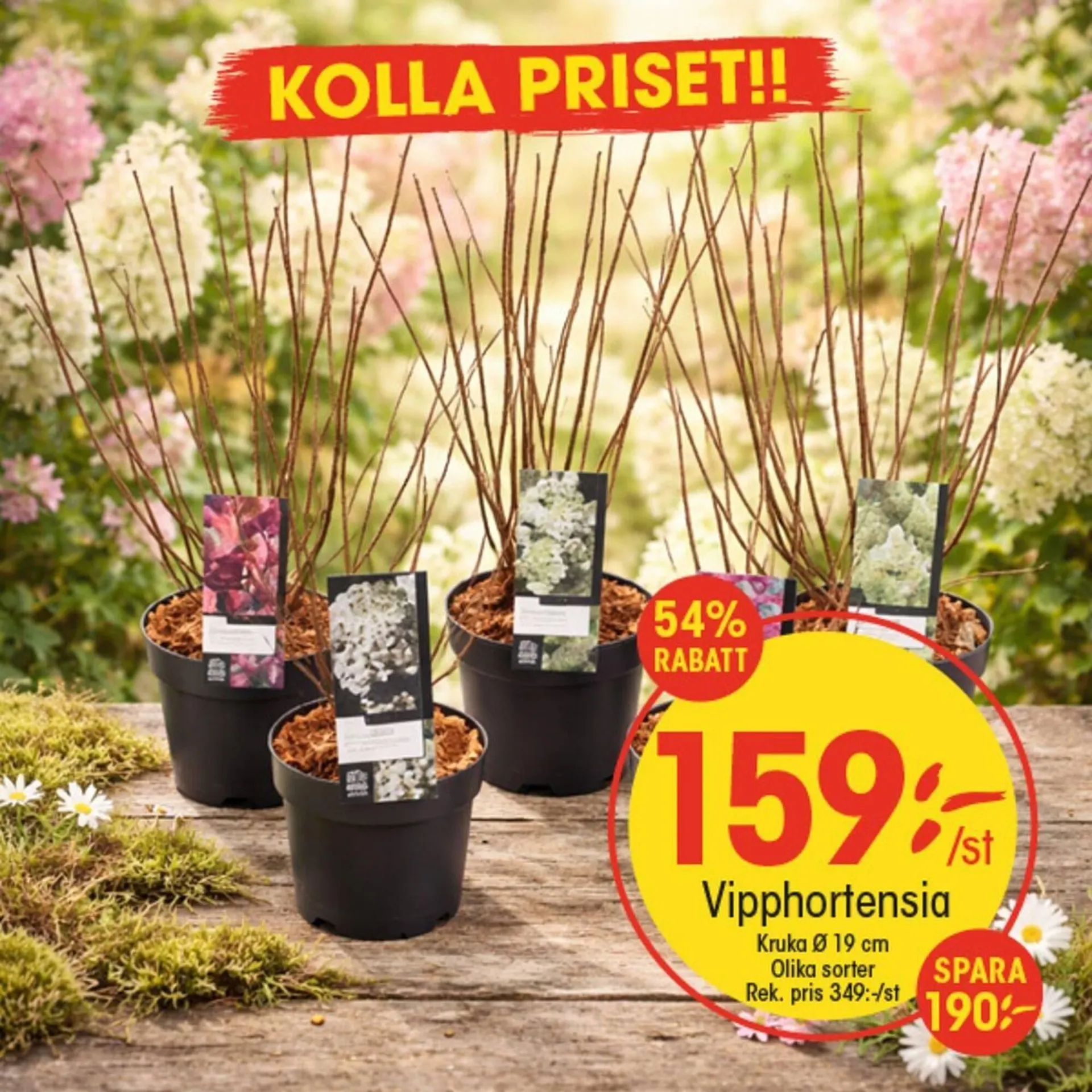 EKO reklamblad från 23 mars till 6 april 2026 - Reklamblad sidor 3