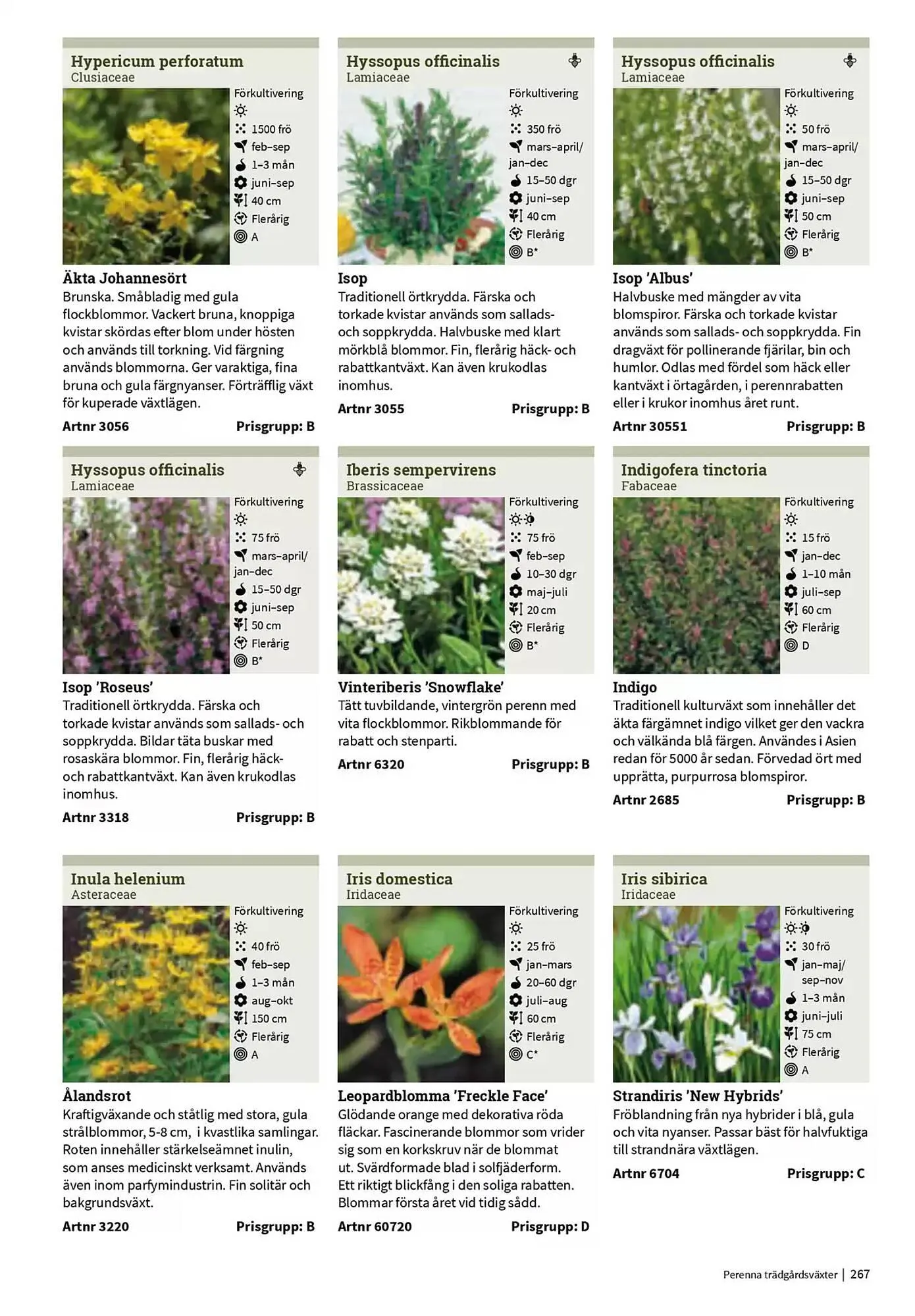 Impecta reklamblad från 23 januari till 31 december 2025 - Reklamblad sidor 267