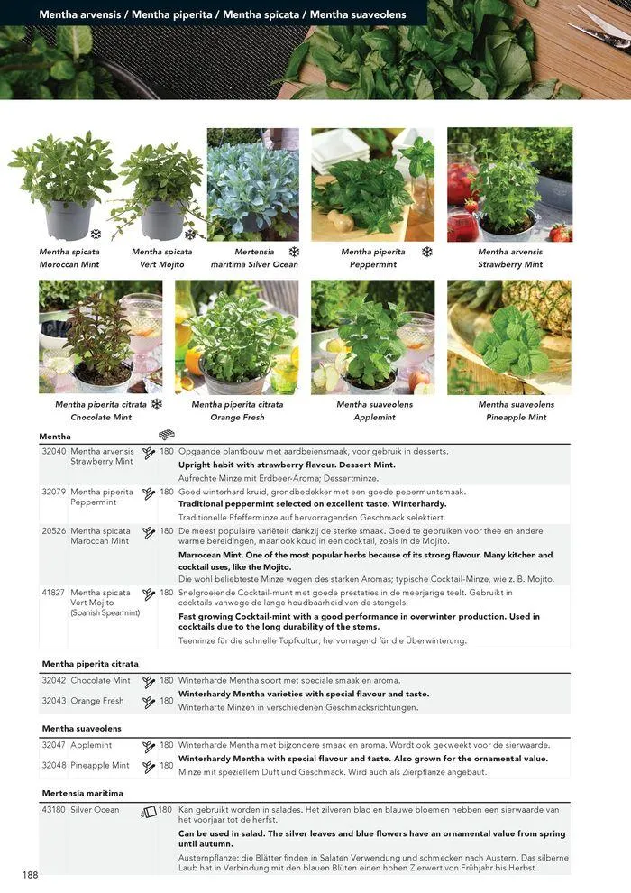 Annuals 2024 . från 15 februari till 31 december 2024 - Reklamblad sidor 192