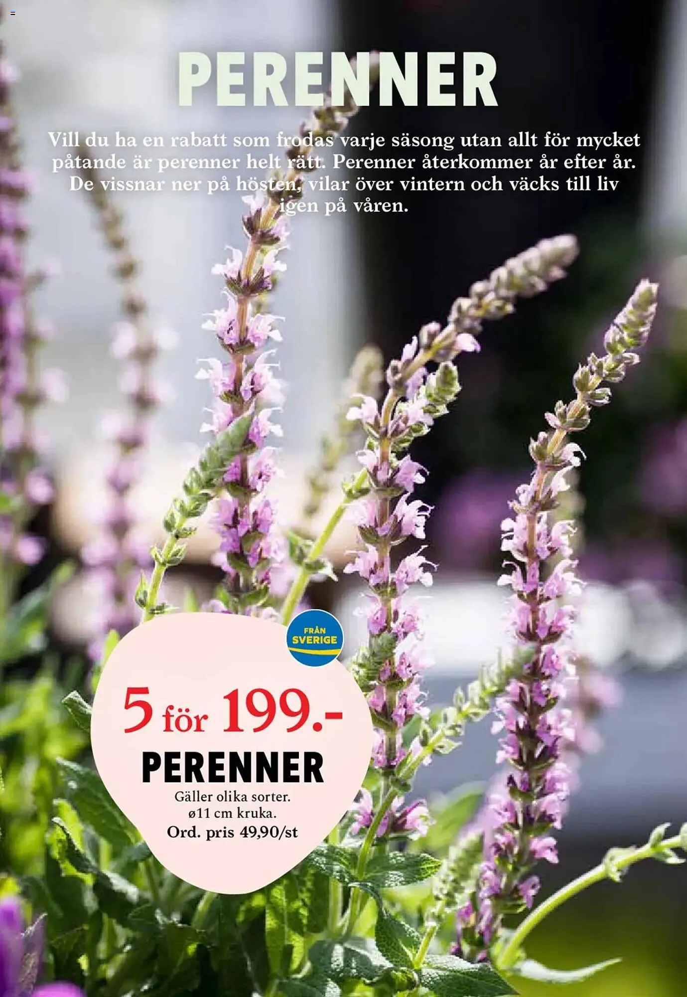 Blomsterlandet reklamblad från 24 mars till 30 mars 2025 - Reklamblad sidor 6