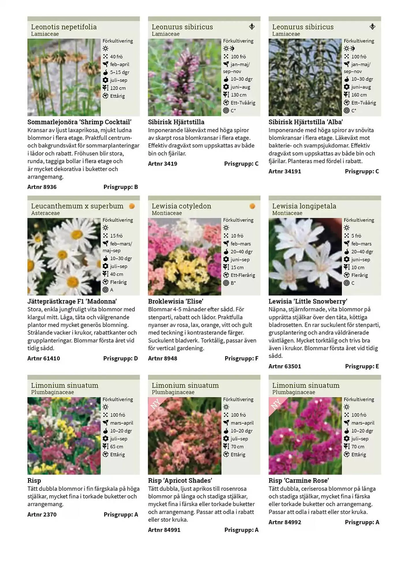 Impecta reklamblad från 23 januari till 31 december 2025 - Reklamblad sidor 157