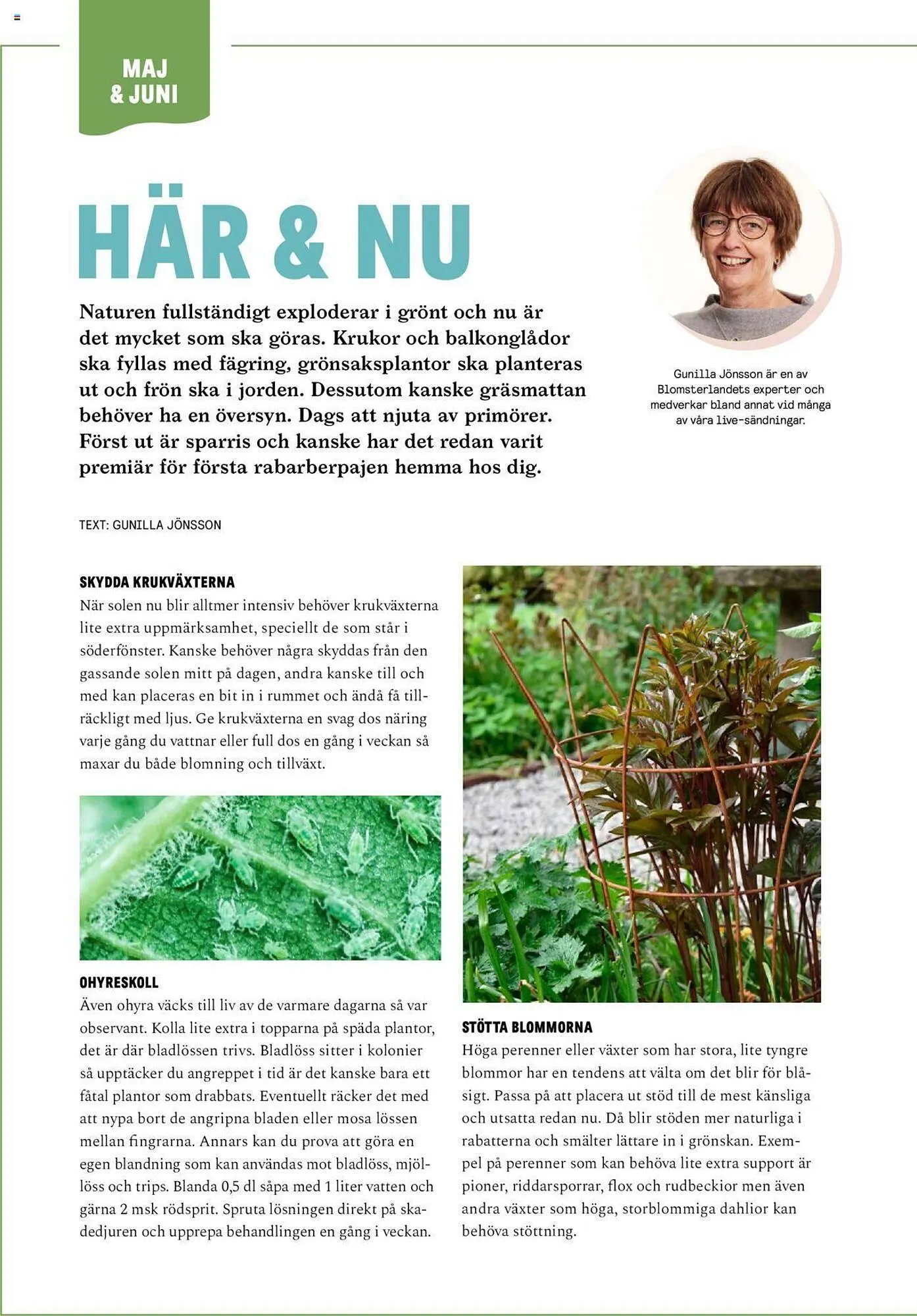 Blomsterlandet reklamblad från 13 maj till 26 maj 2024 - Reklamblad sidor 8