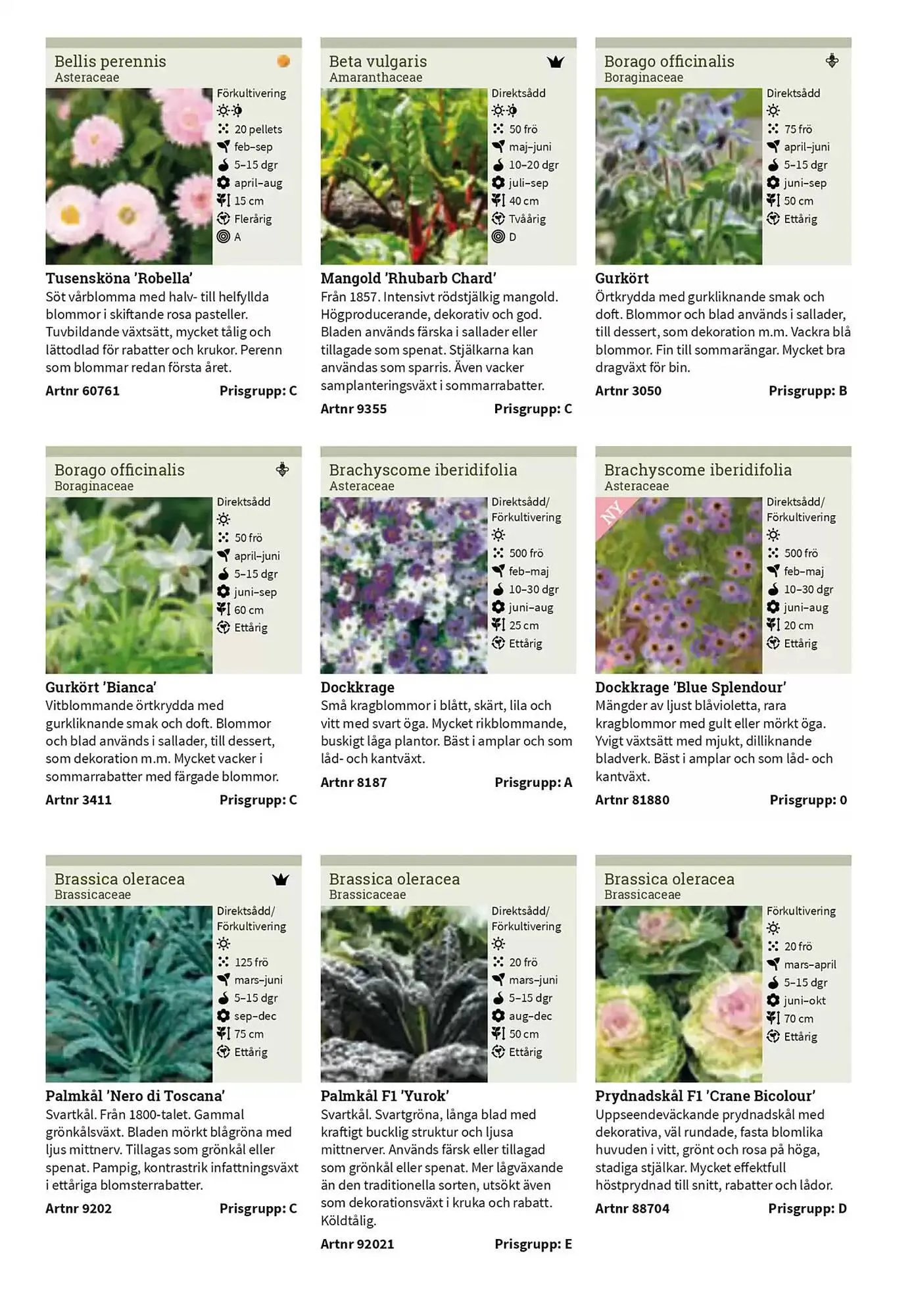 Impecta reklamblad från 23 januari till 31 december 2025 - Reklamblad sidor 114