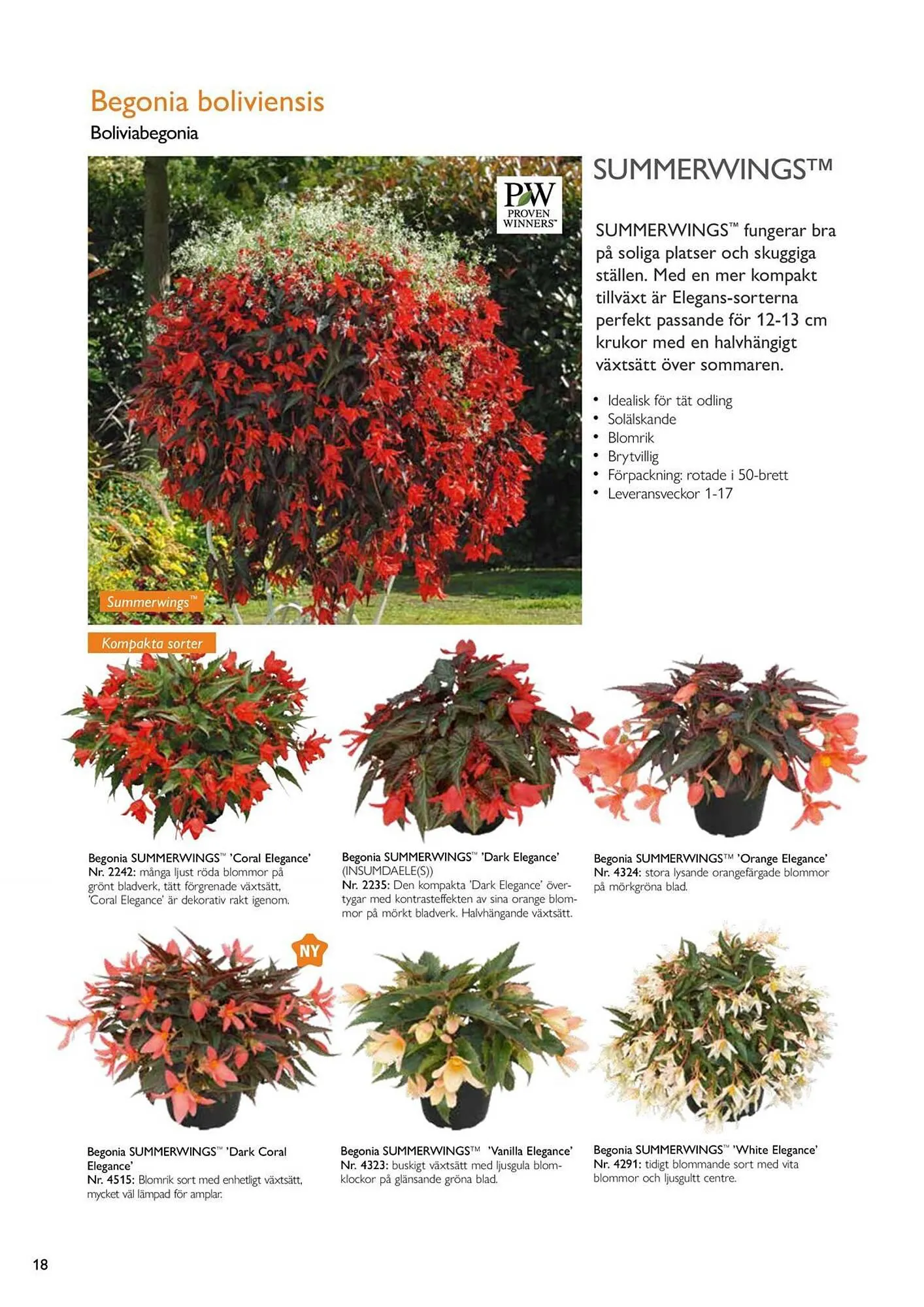 Harald Nyborg reklamblad från 15 februari till 31 december 2024 - Reklamblad sidor 16