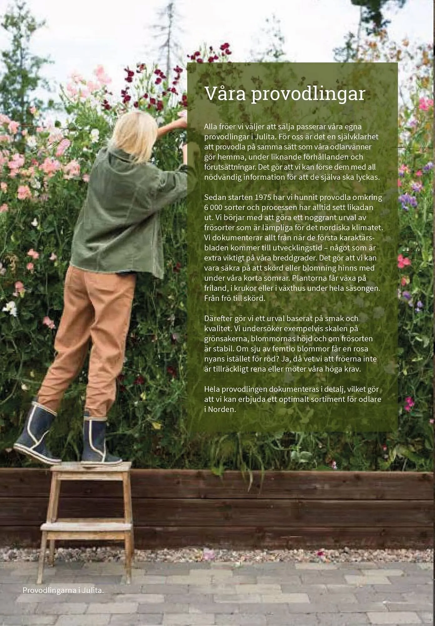 Granngården kampanjblad från 11 september till 31 december 2025 - Reklamblad sidor 6