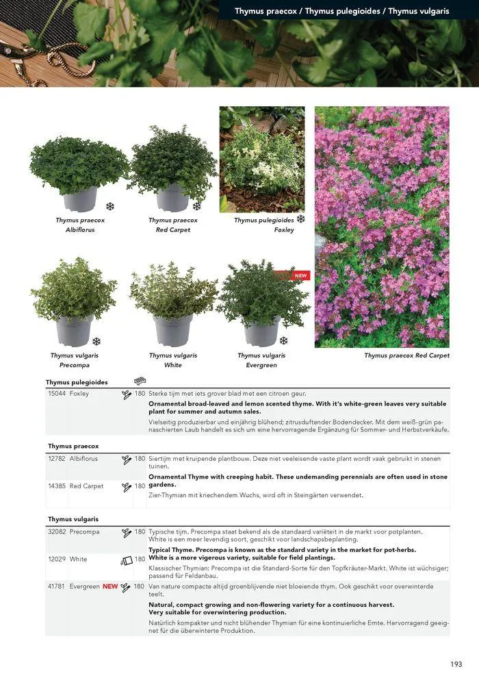 Annuals 2024 . från 15 februari till 31 december 2024 - Reklamblad sidor 197