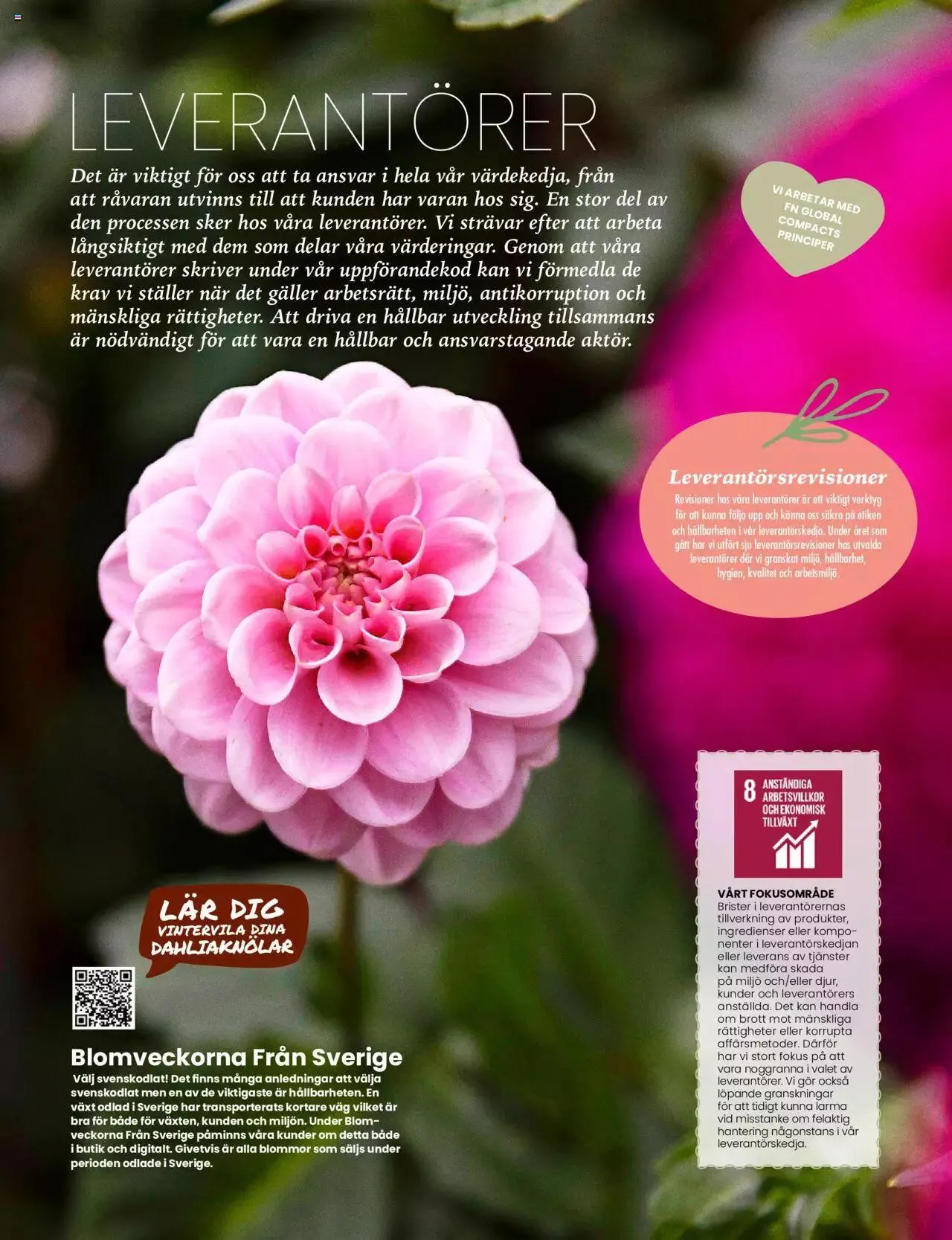 Granngården - erbjudanden från 17 april till 31 december 2023 - Reklamblad sidor 11