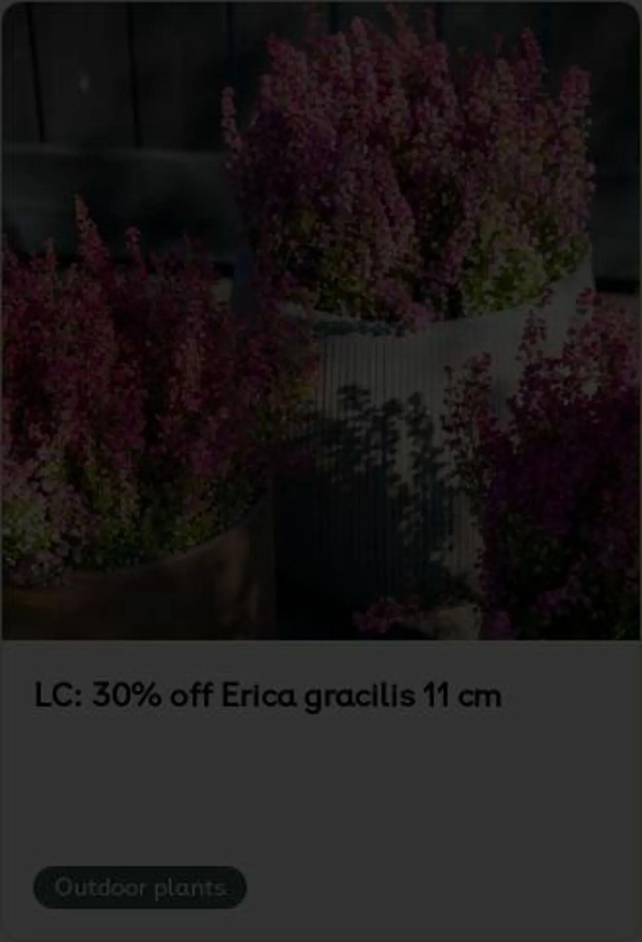 Plantagen från 6 oktober till 15 oktober 2025 - Reklamblad sidor 3