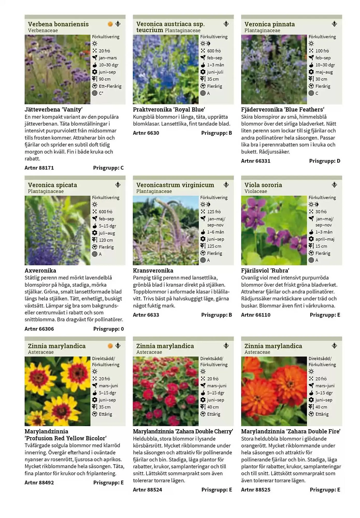 Impecta reklamblad från 23 januari till 31 december 2025 - Reklamblad sidor 237