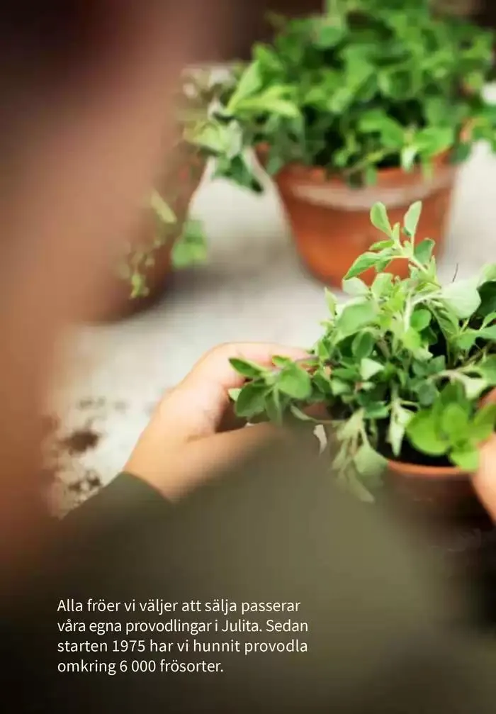 Frökatalog 2025! från 23 januari till 31 december 2025 - Reklamblad sidor 342