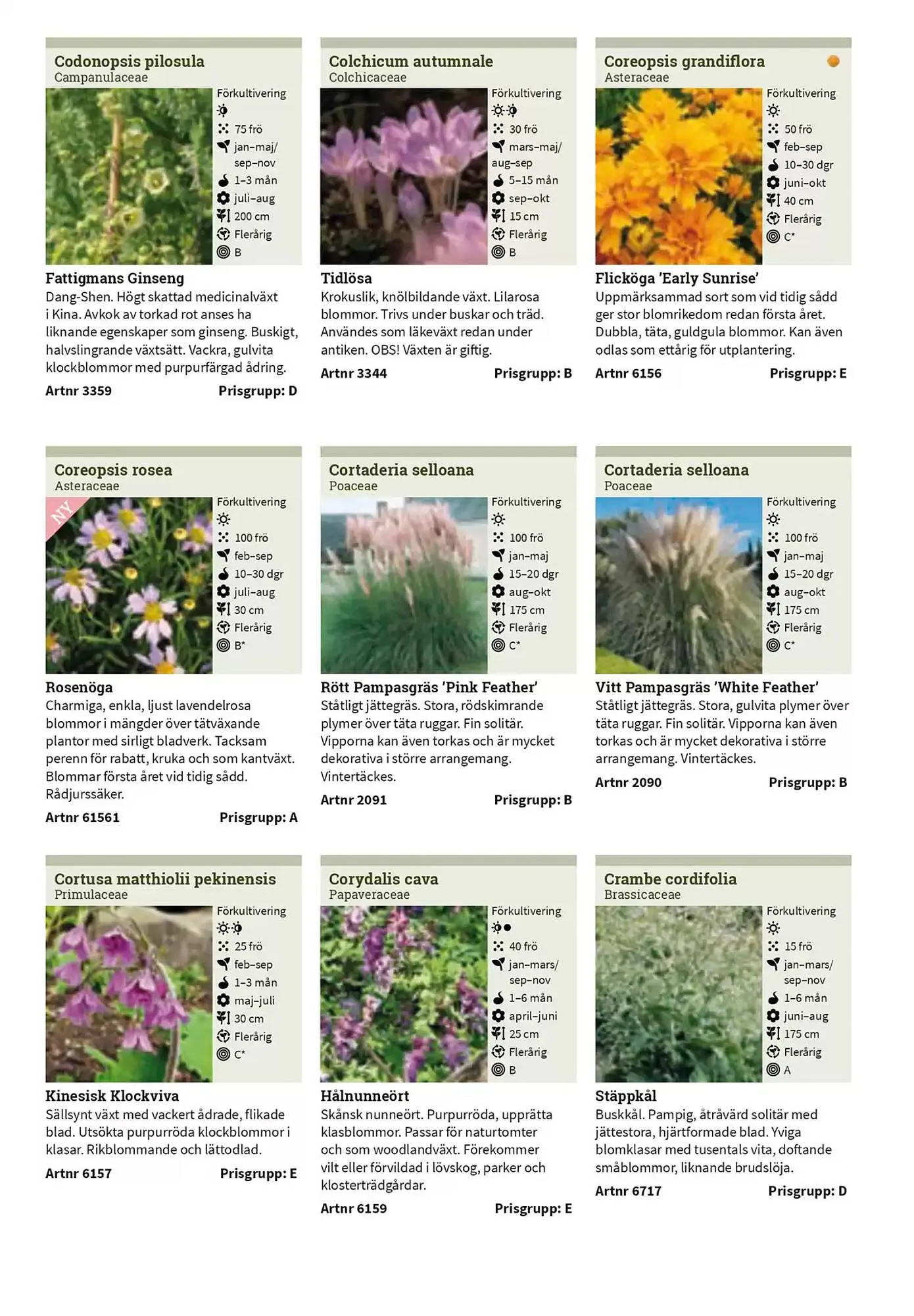 Impecta reklamblad från 23 januari till 31 december 2025 - Reklamblad sidor 254