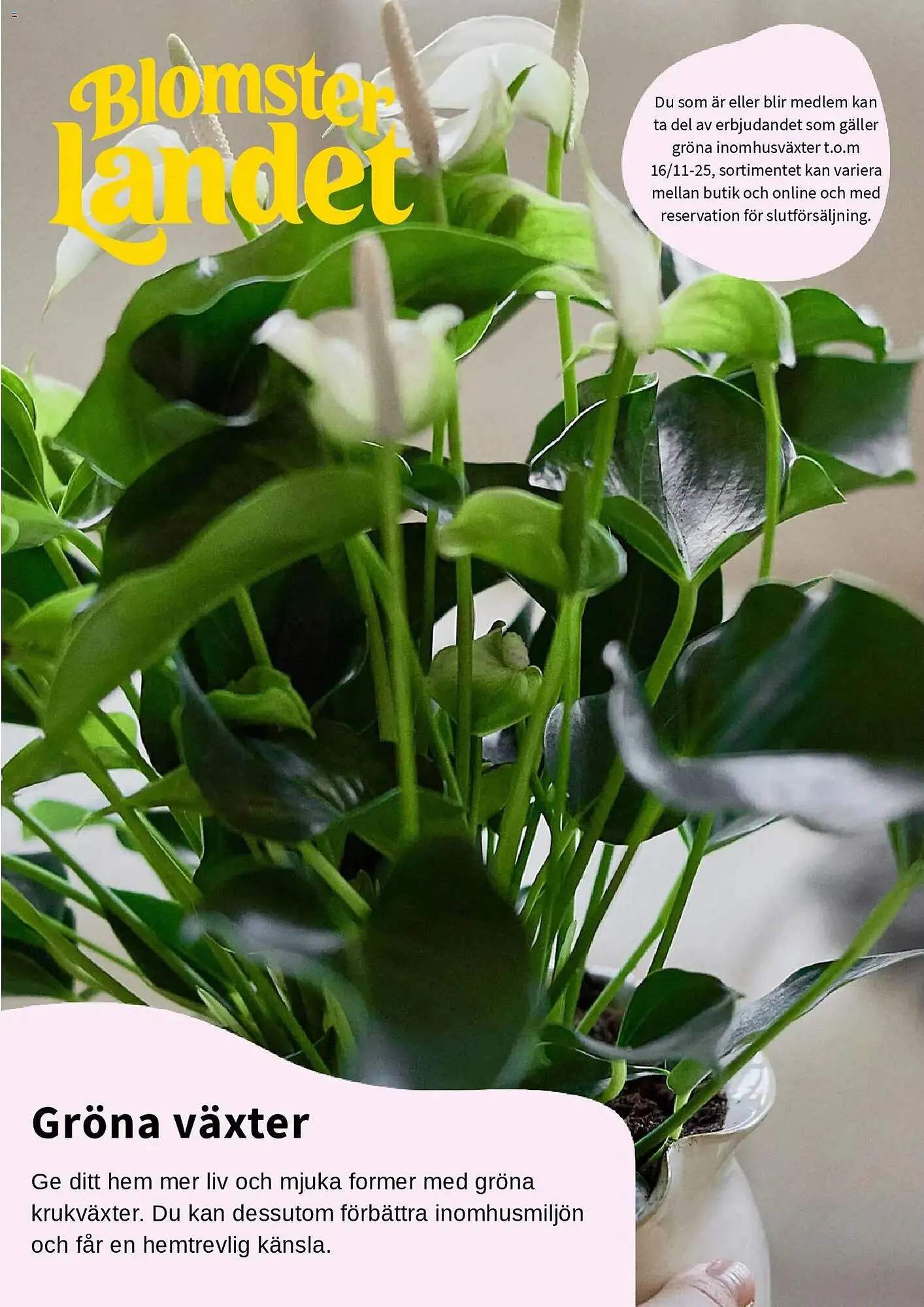 Blomsterlandet reklamblad från 1 november till 16 november 2025 - Reklamblad sidor 1