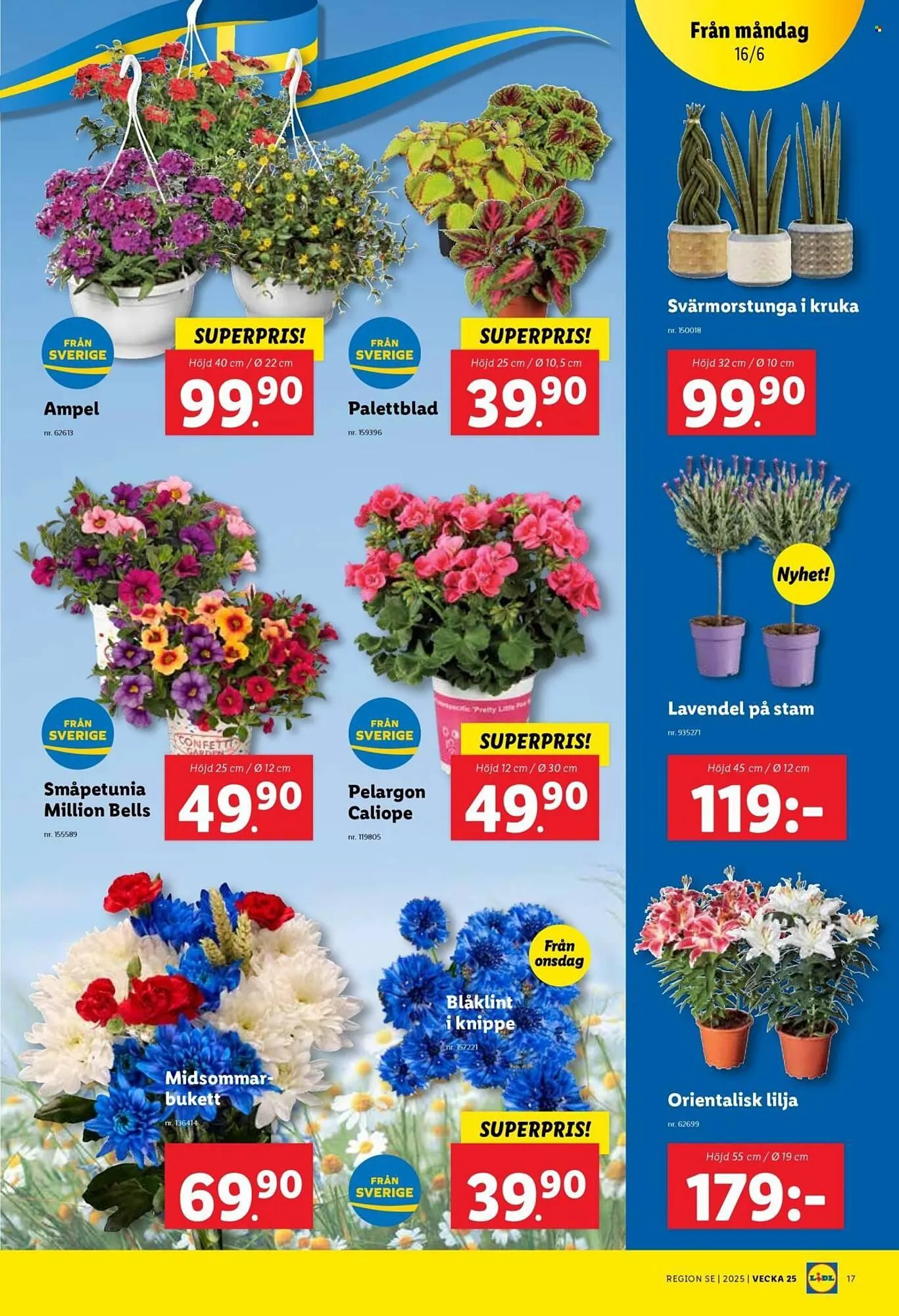 Lidl reklamblad från 16 juni till 22 juni 2025 - Reklamblad sidor 19