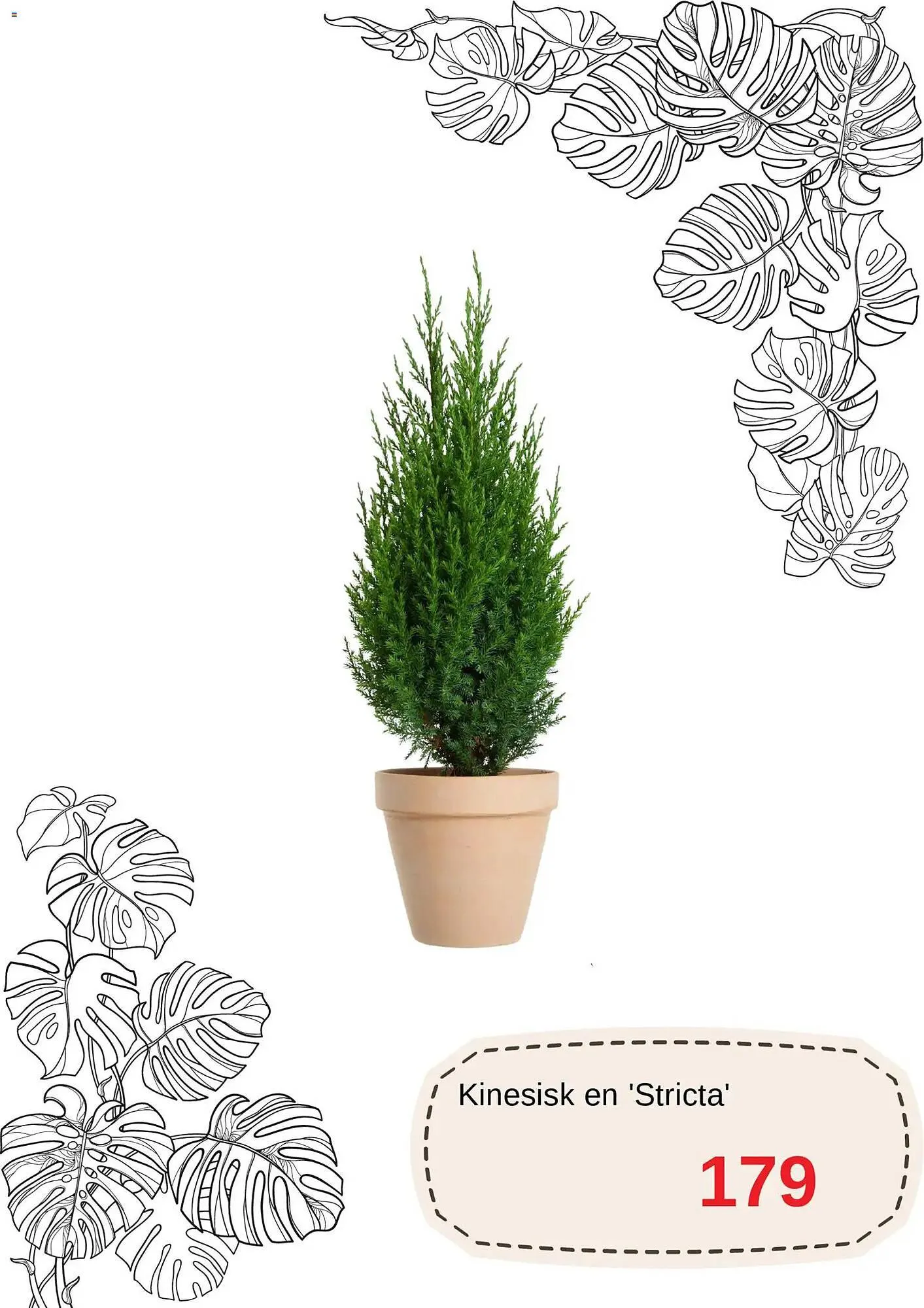 Blomsterlandet reklamblad från 1 december till 31 december 2025 - Reklamblad sidor 8