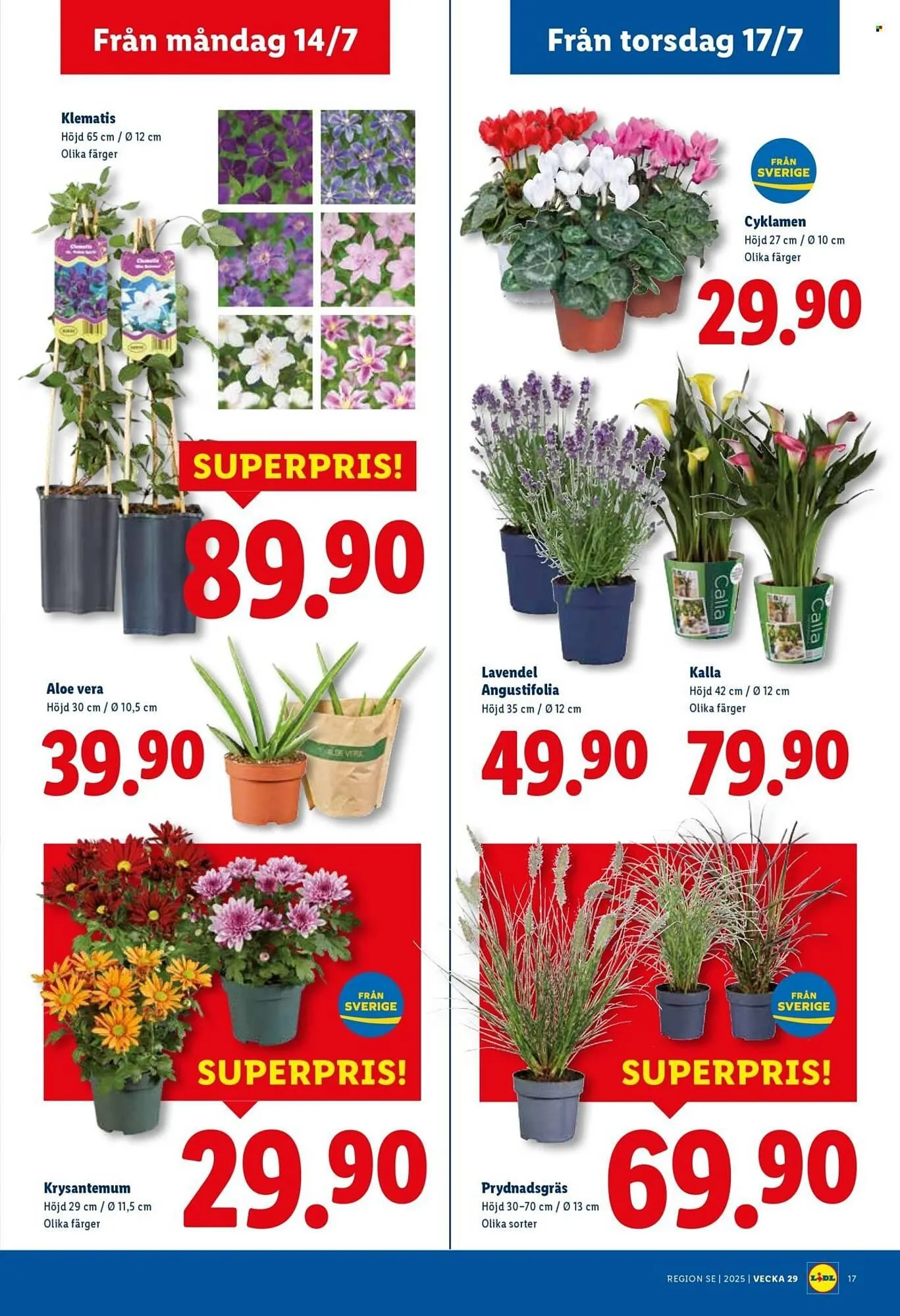 Lidl reklamblad från 14 juli till 20 juli 2025 - Reklamblad sidor 18
