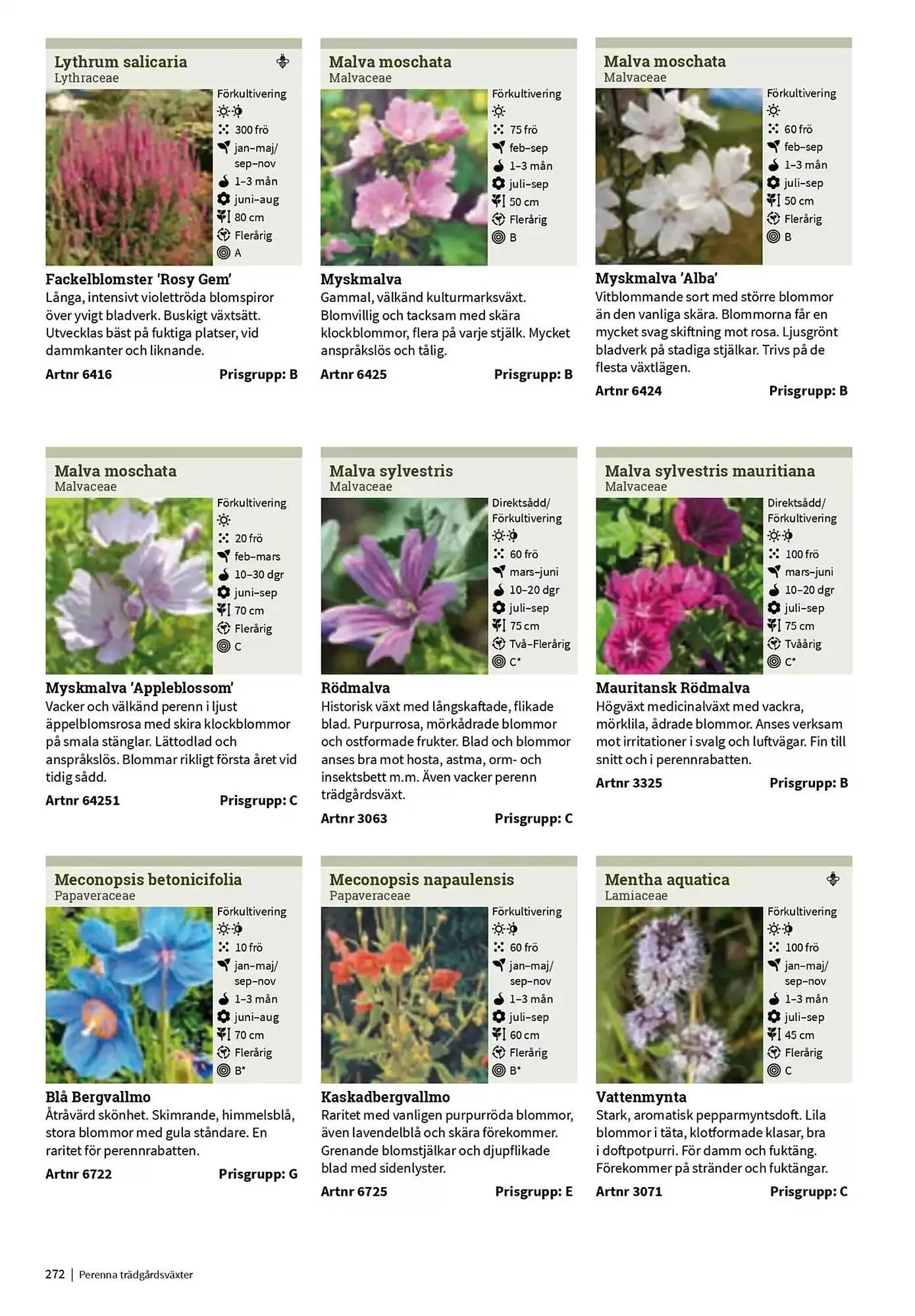 Impecta reklamblad från 23 januari till 31 december 2025 - Reklamblad sidor 272