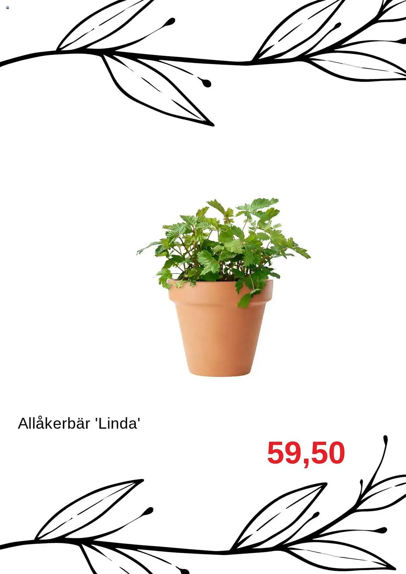 Granngården kampanjblad från 1 oktober till 31 oktober 2025 - Reklamblad sidor 5