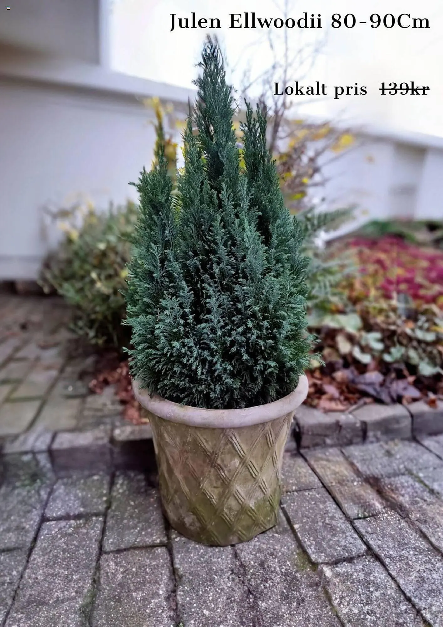 Granngården reklamblad från 2 december till 10 december 2023 - Reklamblad sidor 5