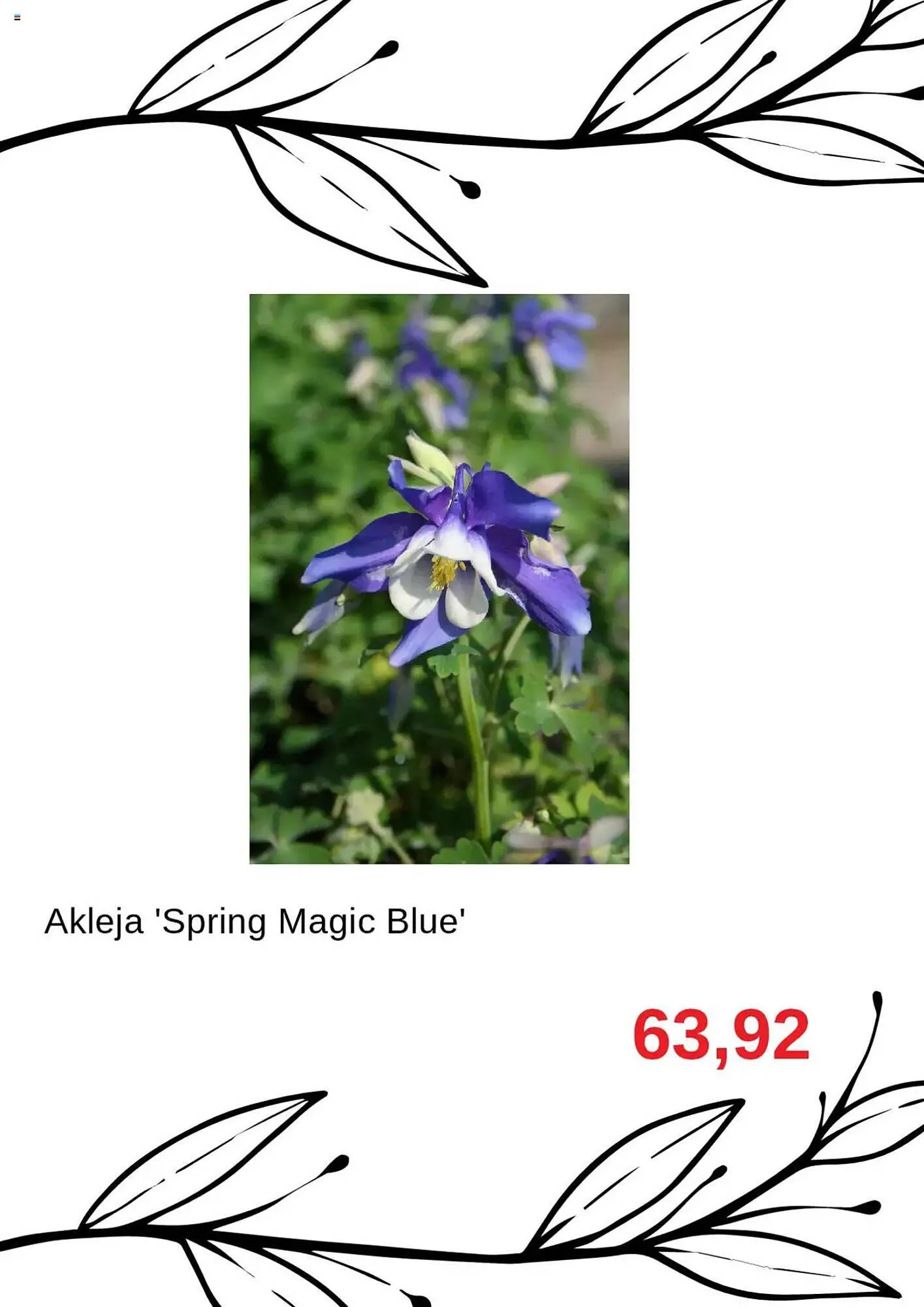 Blomsterlandet reklamblad från 23 juli till 6 augusti 2025 - Reklamblad sidor 4