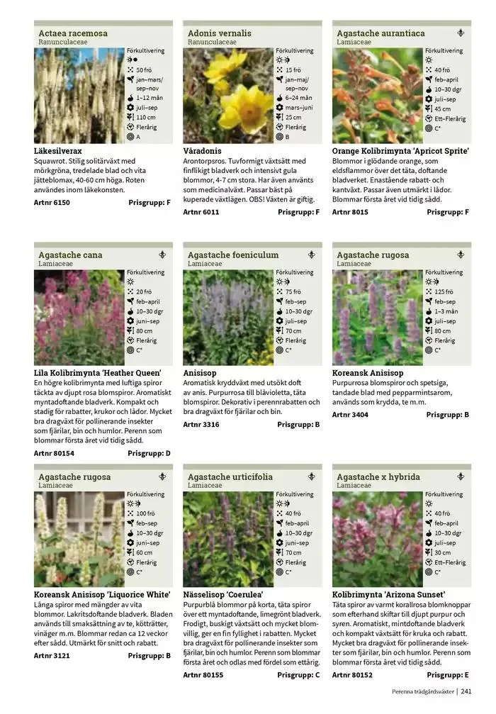 Frökatalog 2025! från 23 januari till 31 december 2025 - Reklamblad sidor 241