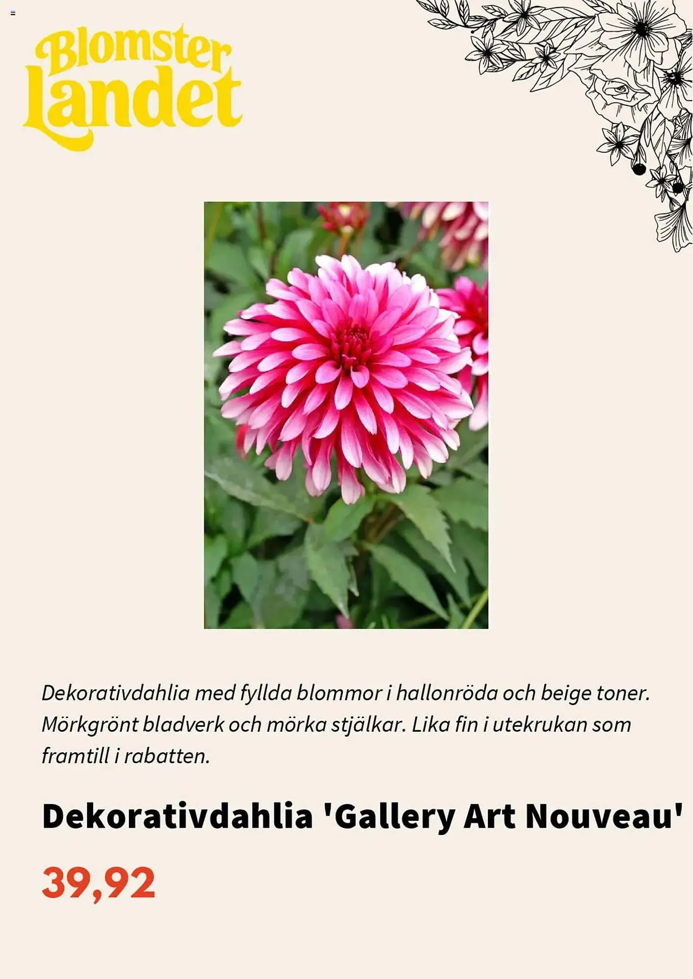 Blomsterlandet reklamblad från 1 mars till 31 mars 2025 - Reklamblad sidor 6