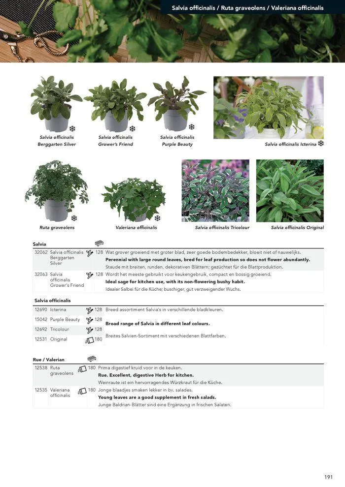 Annuals 2024 . från 15 februari till 31 december 2024 - Reklamblad sidor 195