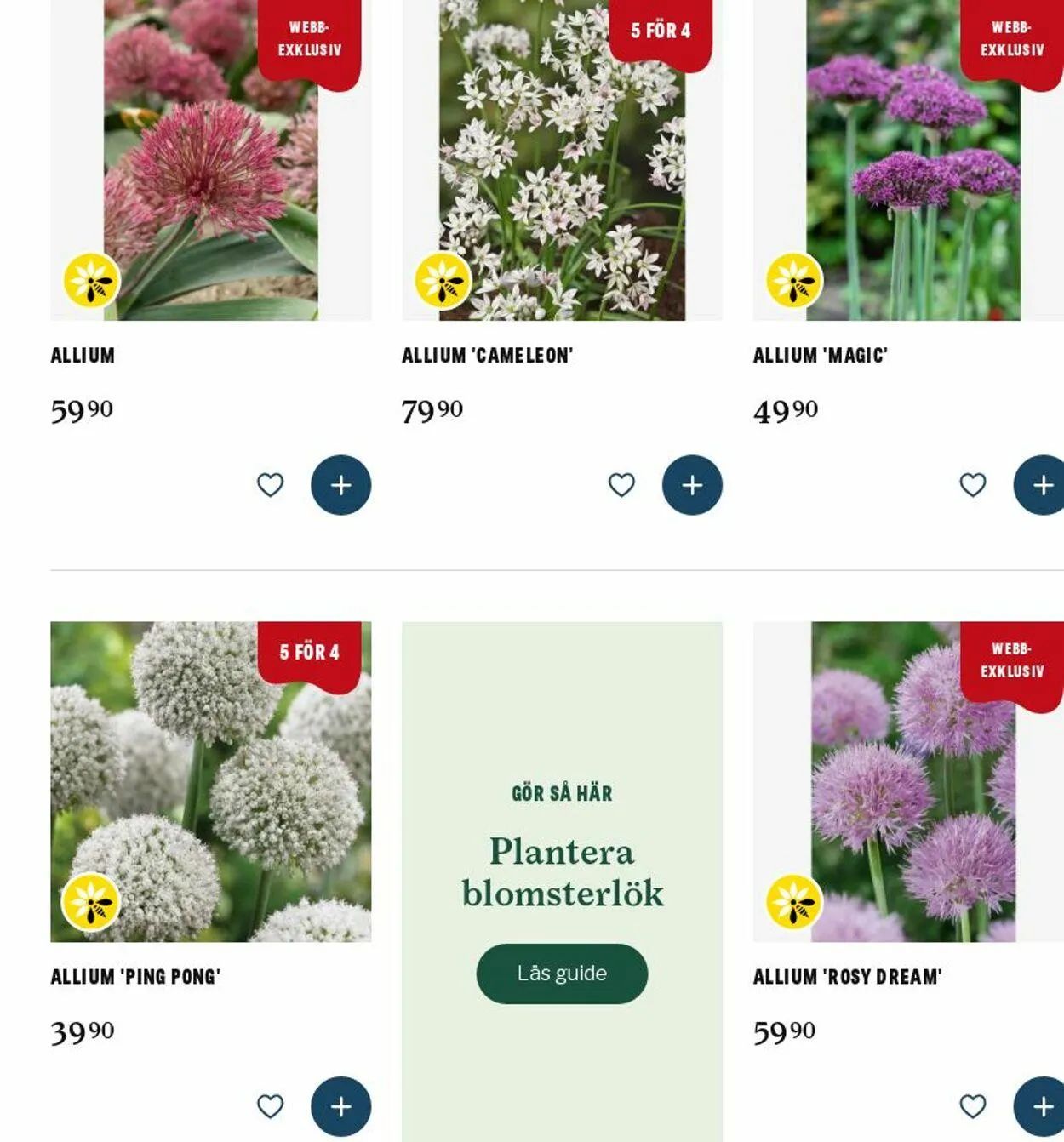 Blomsterlandet från 22 september till 1 oktober 2025 - Reklamblad sidor 1