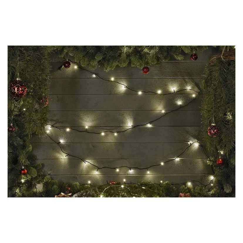 Ljusslinga - startpaket LED Anslut System 31 V 4,1 m IP44