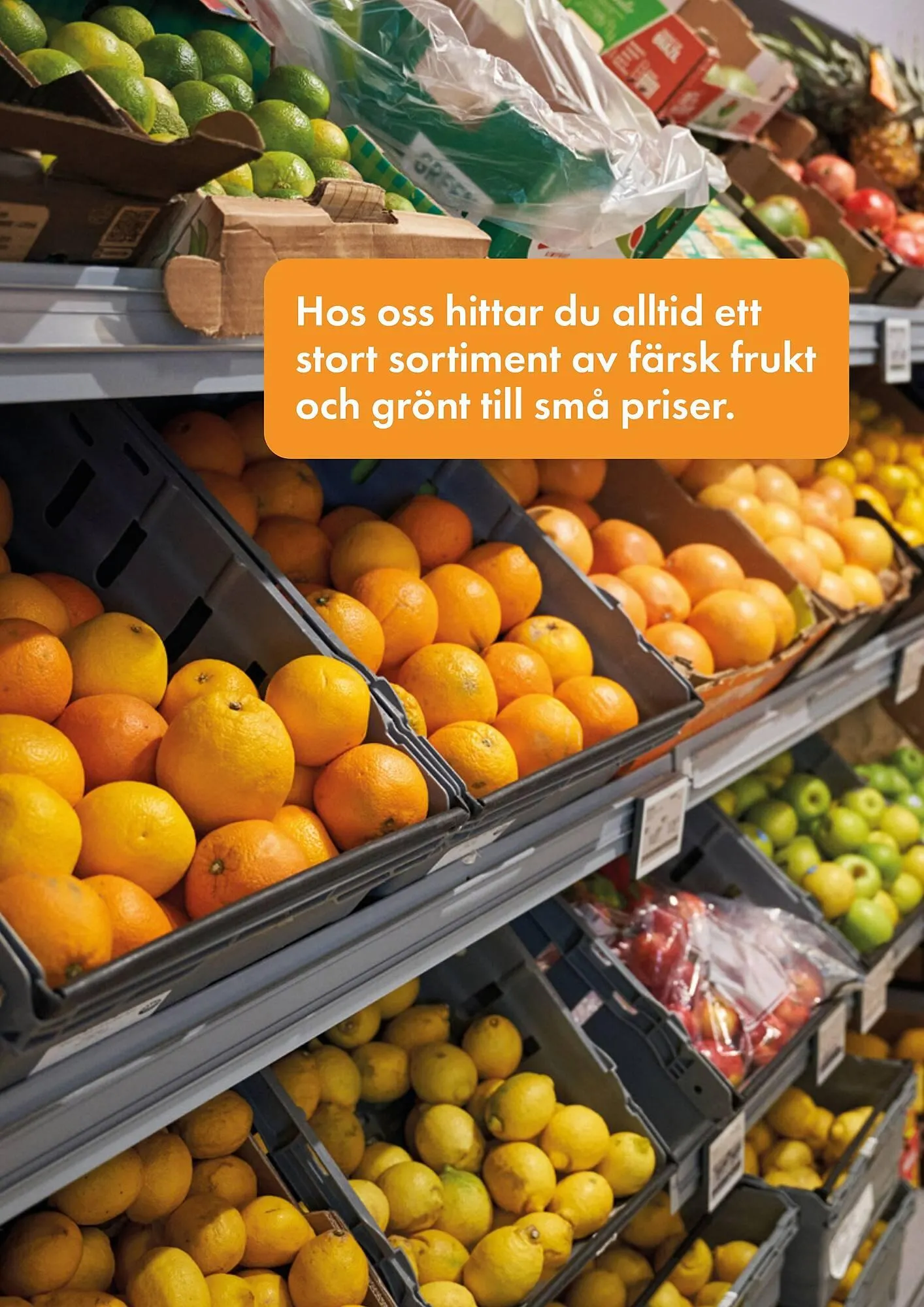 Snabbgross reklamblad från 22 september till 7 oktober 2025 - Reklamblad sidor 5