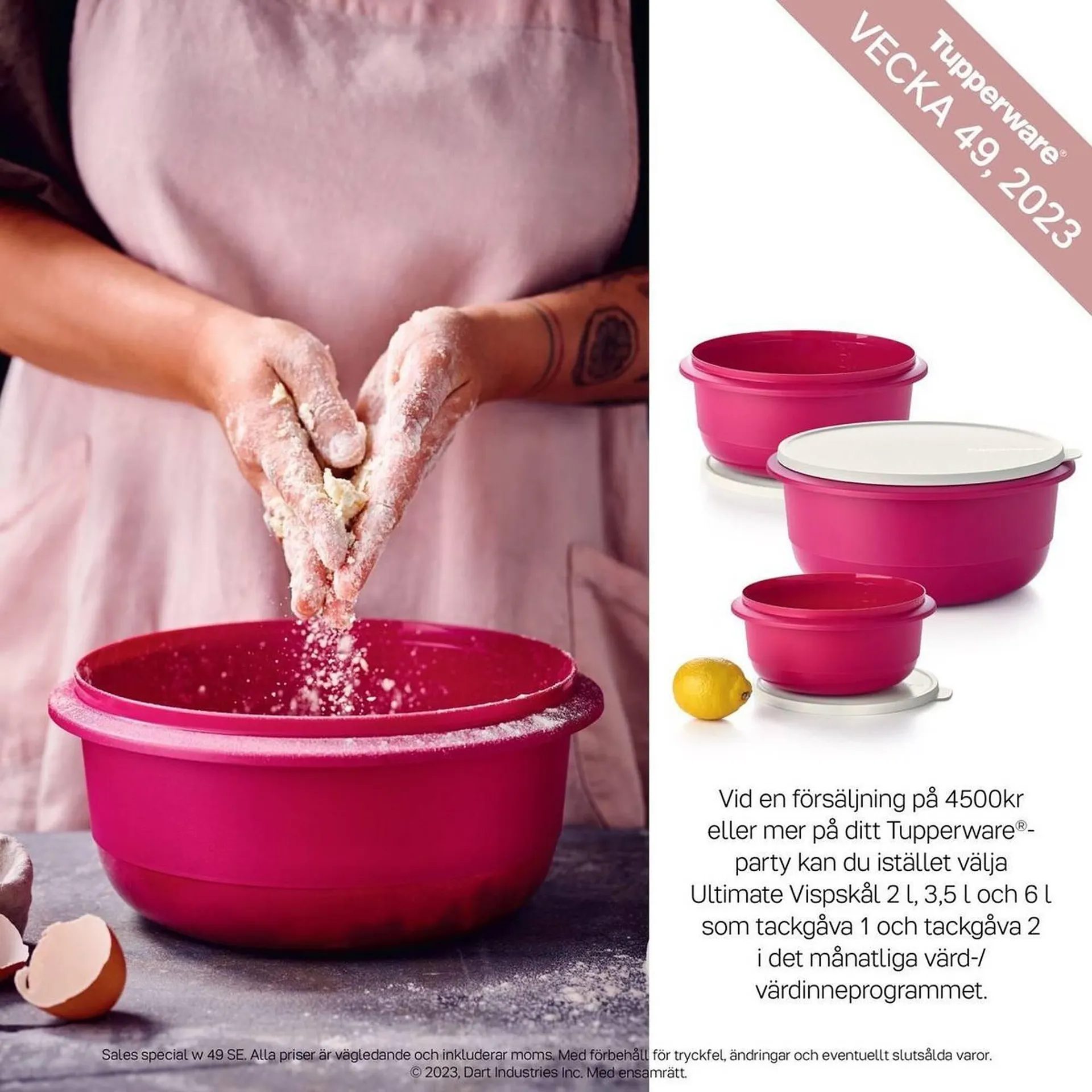 Tupperware reklamblad från 5 december till 31 december 2023 - Reklamblad sidor 2
