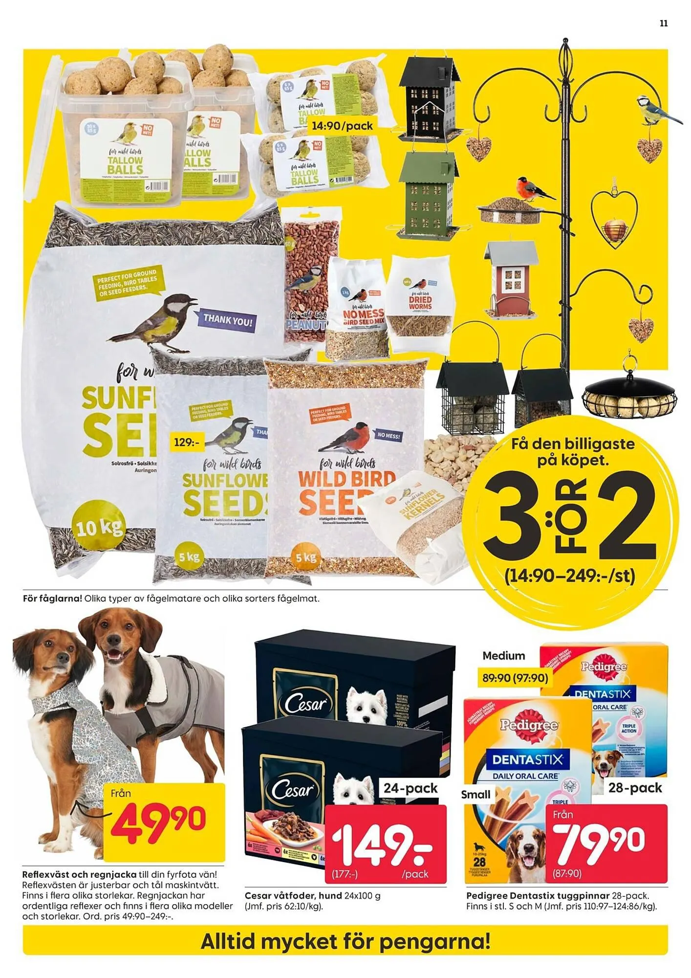 Rusta reklamblad från 2 oktober till 8 oktober 2023 - Reklamblad sidor 11