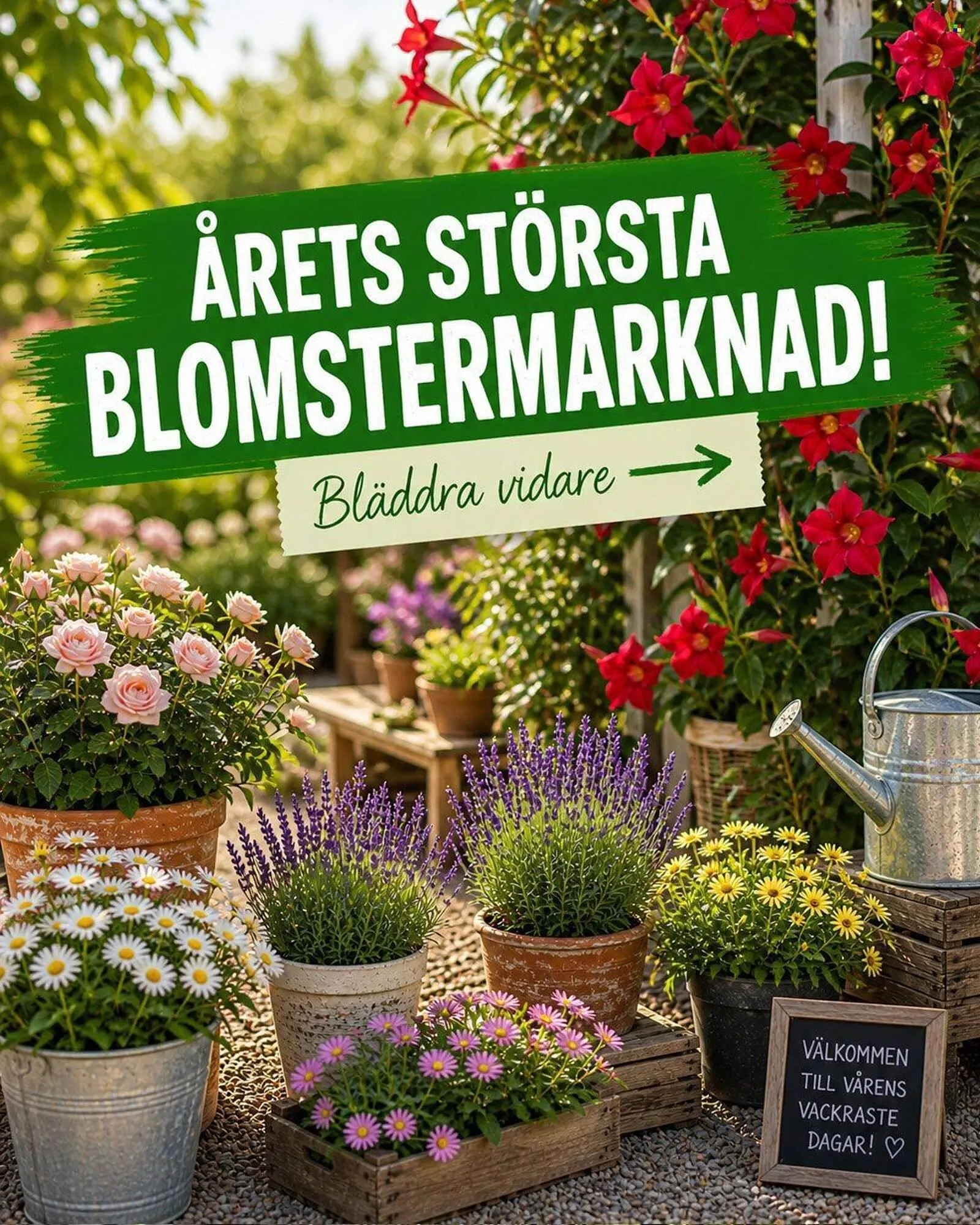 EKO reklamblad från 10 maj till 18 maj 2026 - Reklamblad sidor 1