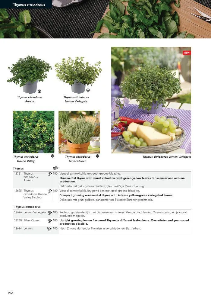 Annuals 2024 . från 15 februari till 31 december 2024 - Reklamblad sidor 196