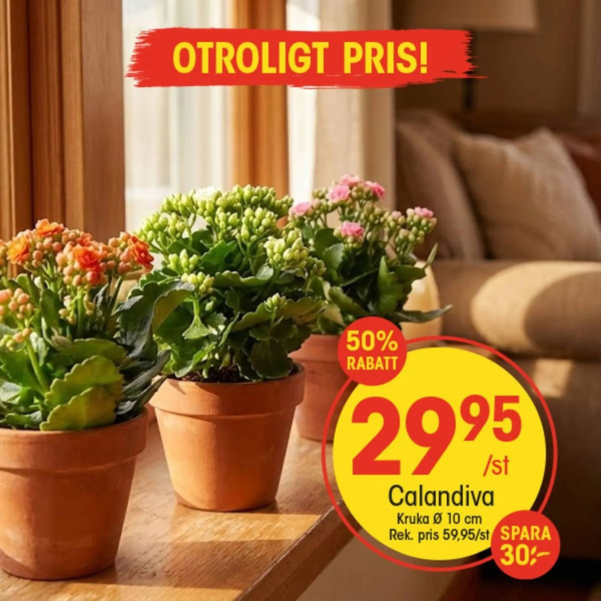 EKO reklamblad från 25 februari till 3 mars 2026 - Reklamblad sidor 1