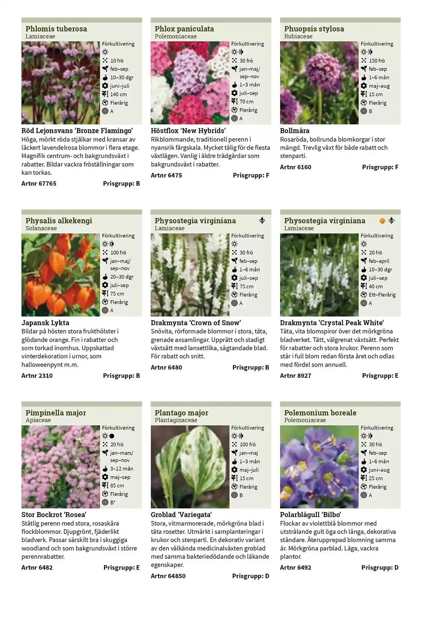 Impecta reklamblad från 23 januari till 31 december 2025 - Reklamblad sidor 278