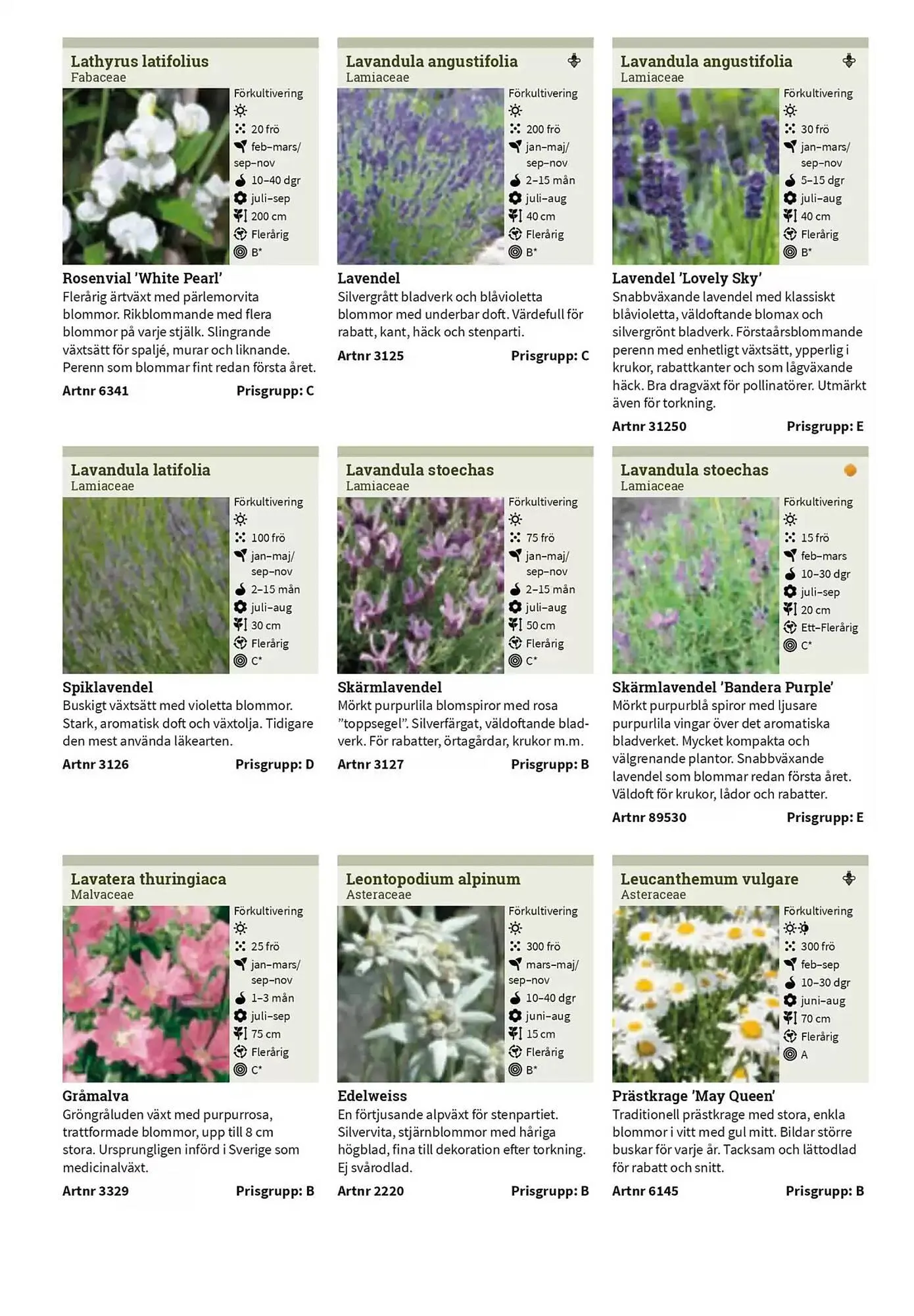 Impecta reklamblad från 23 januari till 31 december 2025 - Reklamblad sidor 269