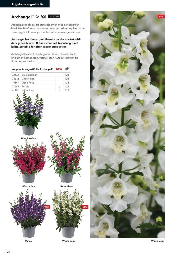 Annuals 2024 . från 15 februari till 31 december 2024 - Reklamblad sidor 32