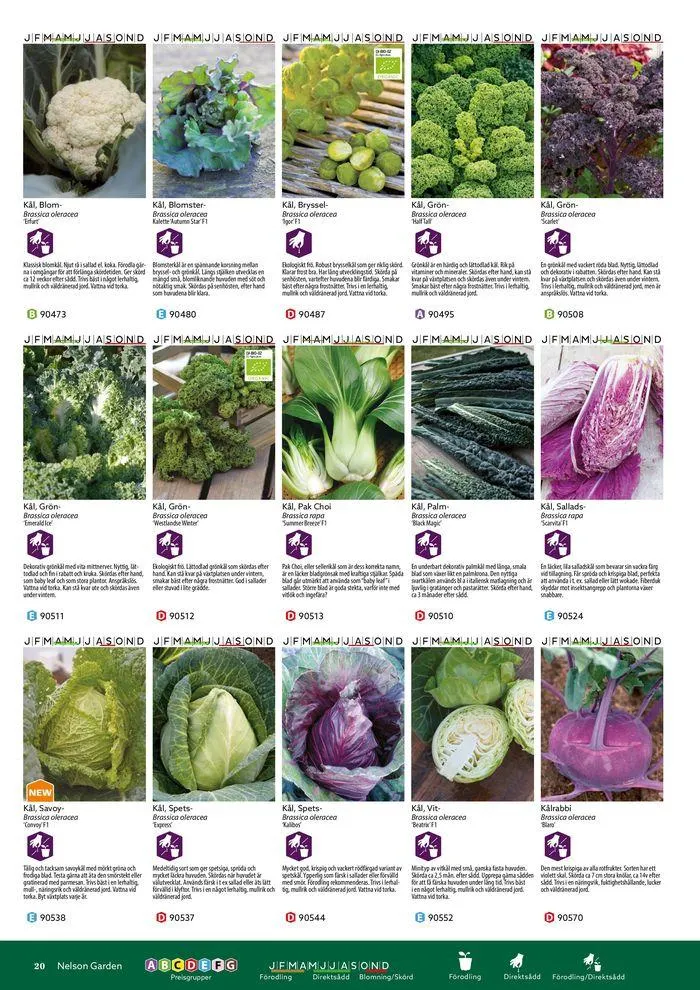 Nelson Gardens frökatalog 2024 är här! från 6 mars till 31 december 2024 - Reklamblad sidor 20