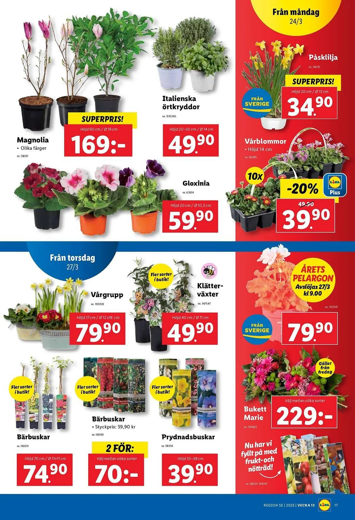 Lidl reklamblad från 24 mars till 30 mars 2025 - Reklamblad sidor 21