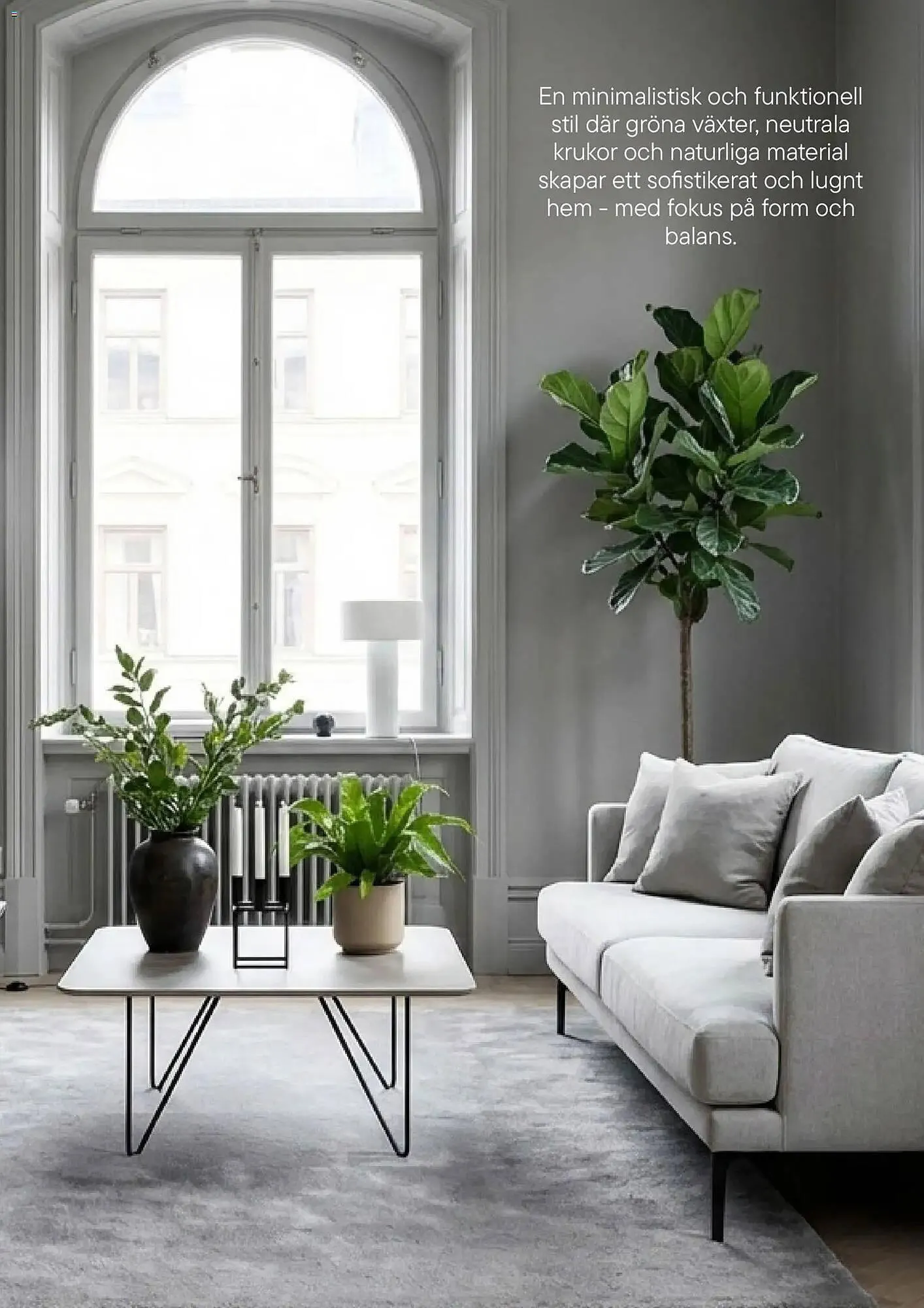 Plantagen annonsblad från 13 januari till 30 juni 2026 - Reklamblad sidor 11