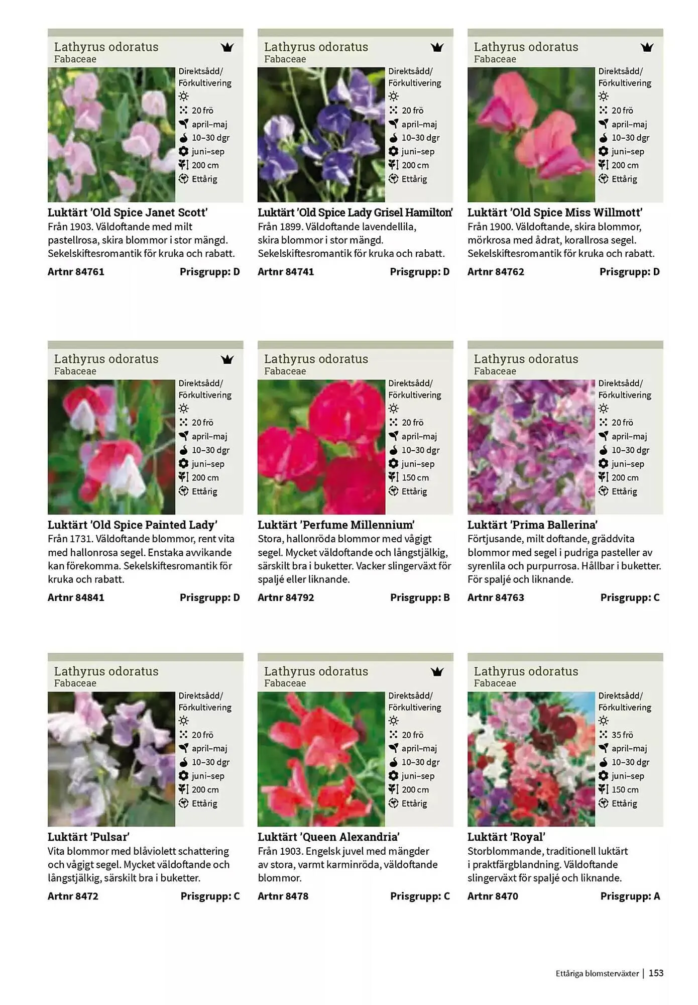 Impecta reklamblad från 23 januari till 31 december 2025 - Reklamblad sidor 153