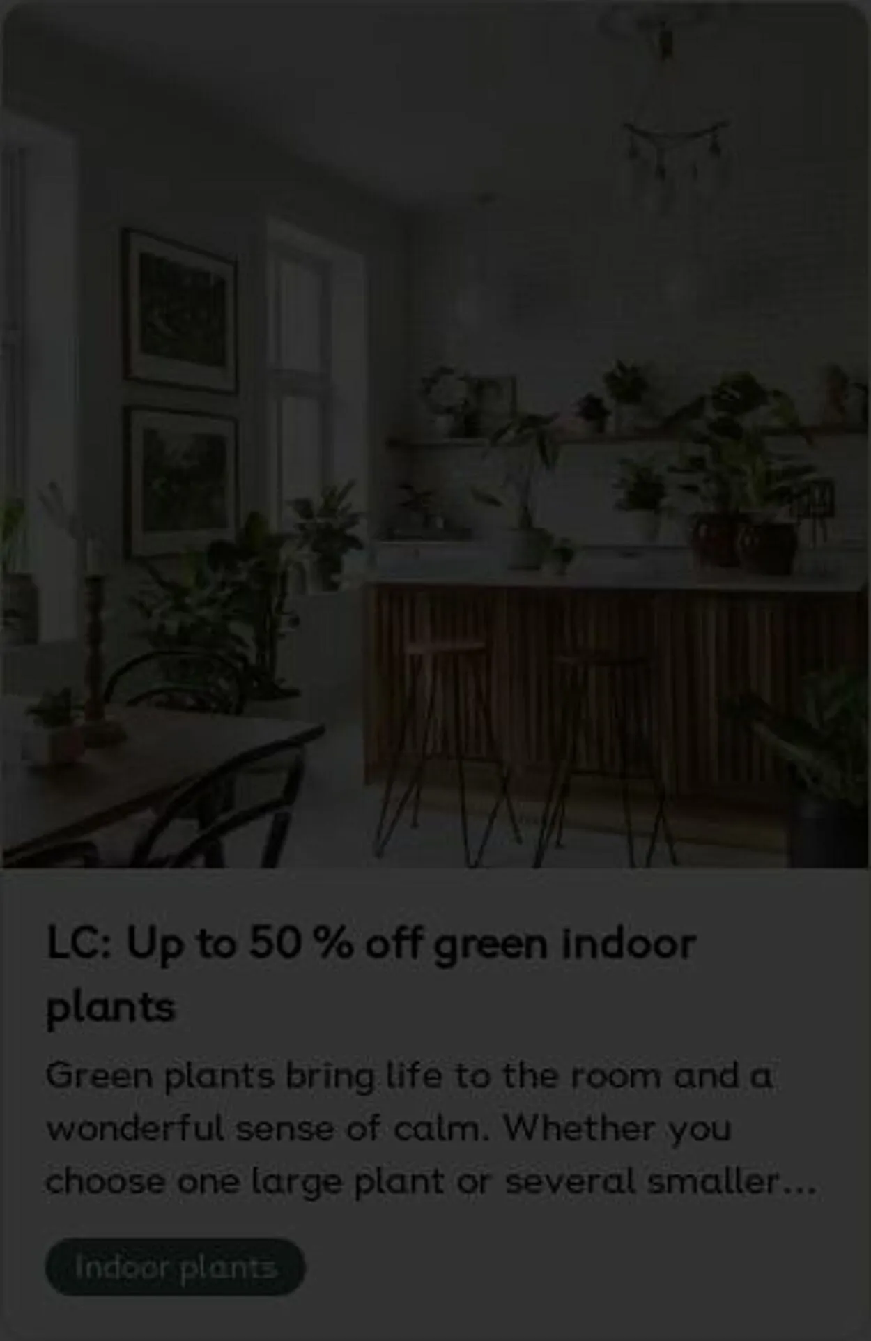 Plantagen från 5 januari till 14 januari 2026 - Reklamblad sidor 3